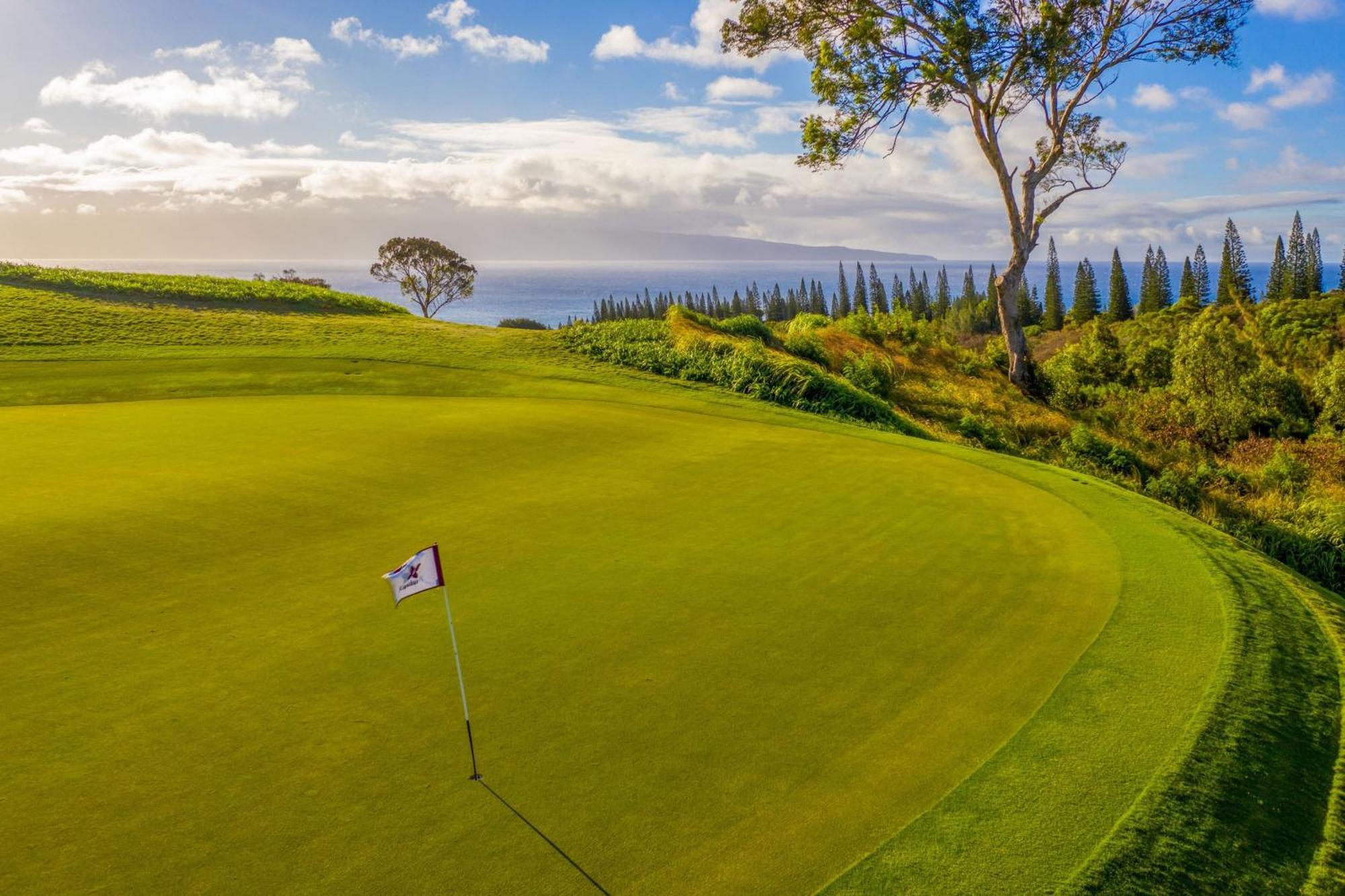 Resort The Ritz-carlton Maui, Kapalua 5*