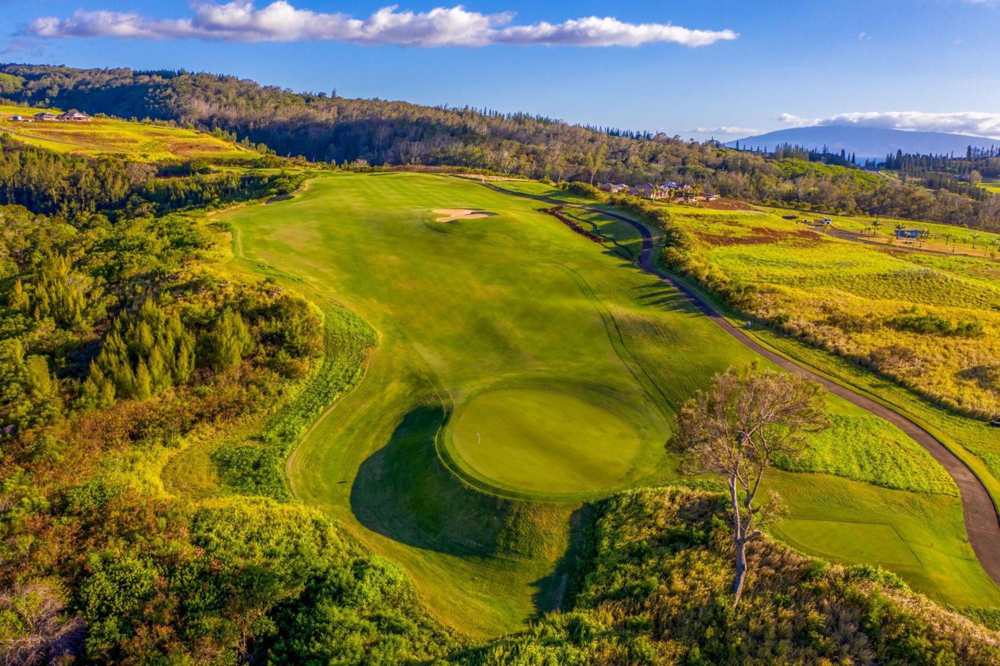 Resort The Ritz-carlton Maui, Kapalua