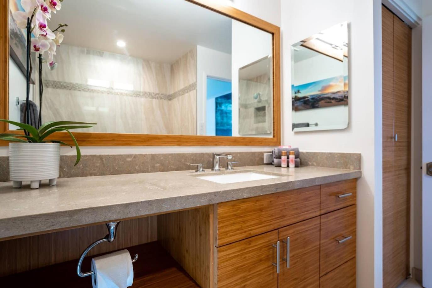 Luxurious Wailea Ocean Vistas Apartment Wailea (Maui)