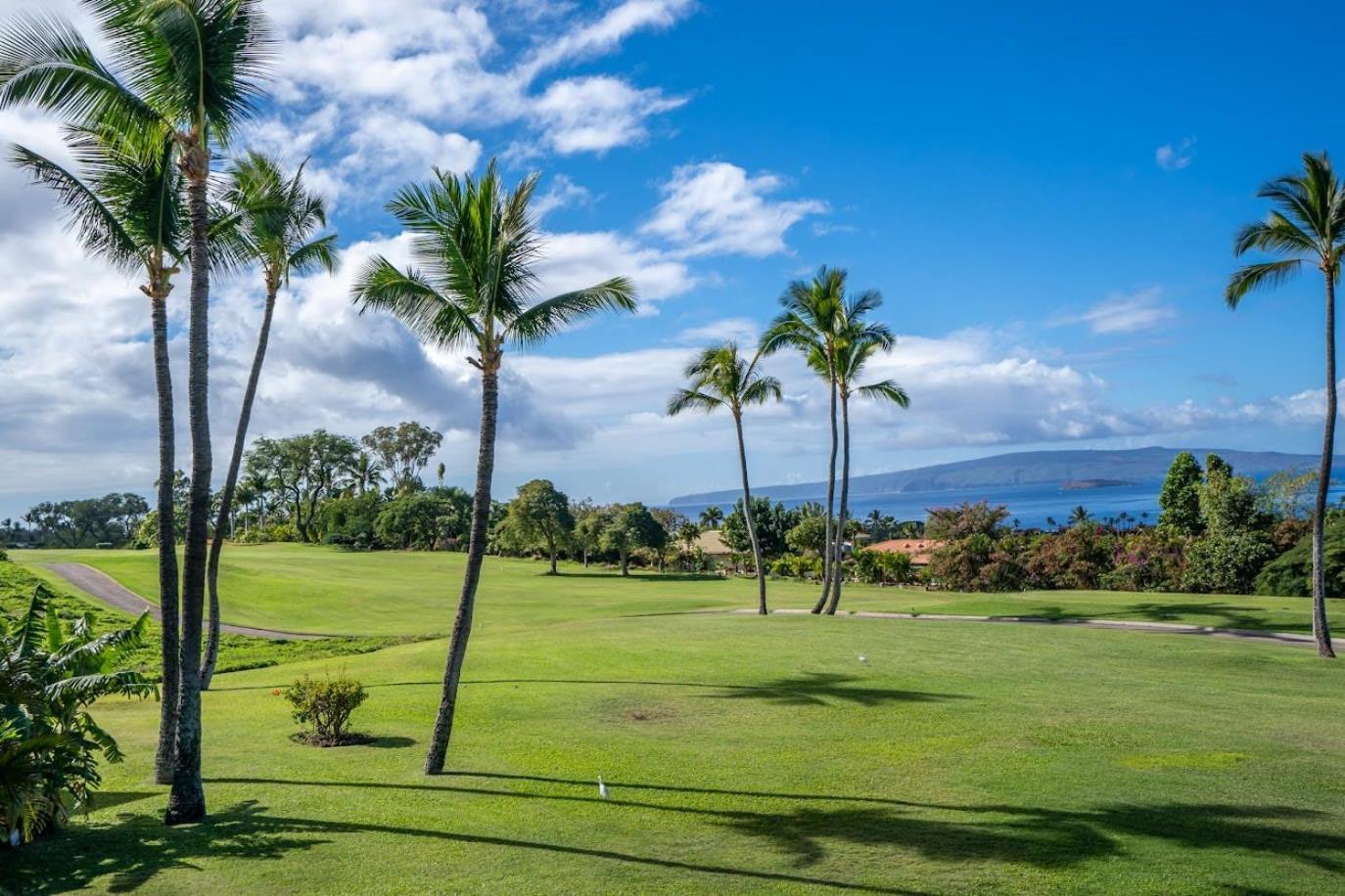 Luxurious Wailea Ocean Vistas Apartment