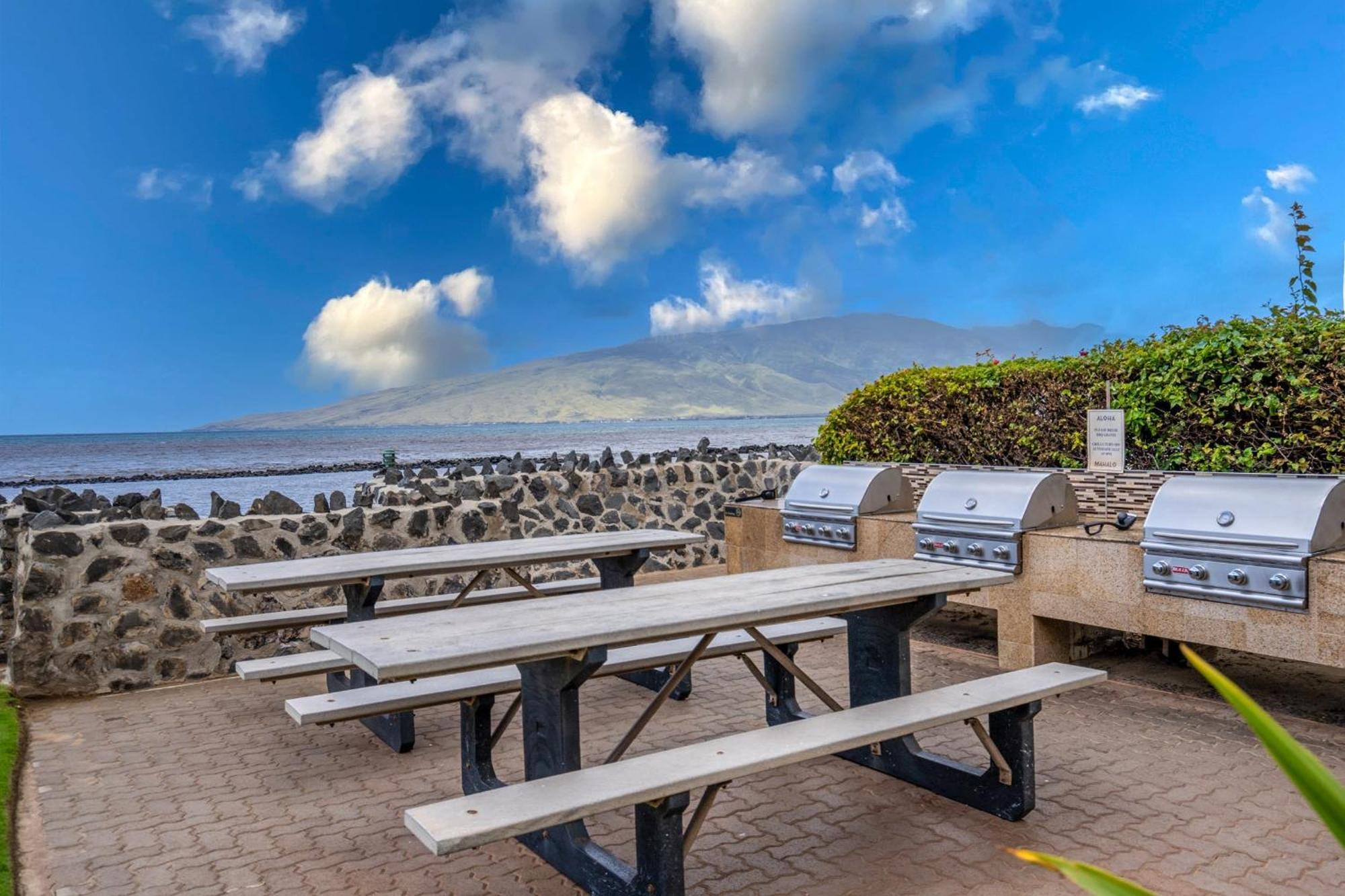 Holiday home 2 Bedroom 2 Bath Luxury Oceanfront Vistas Kihei