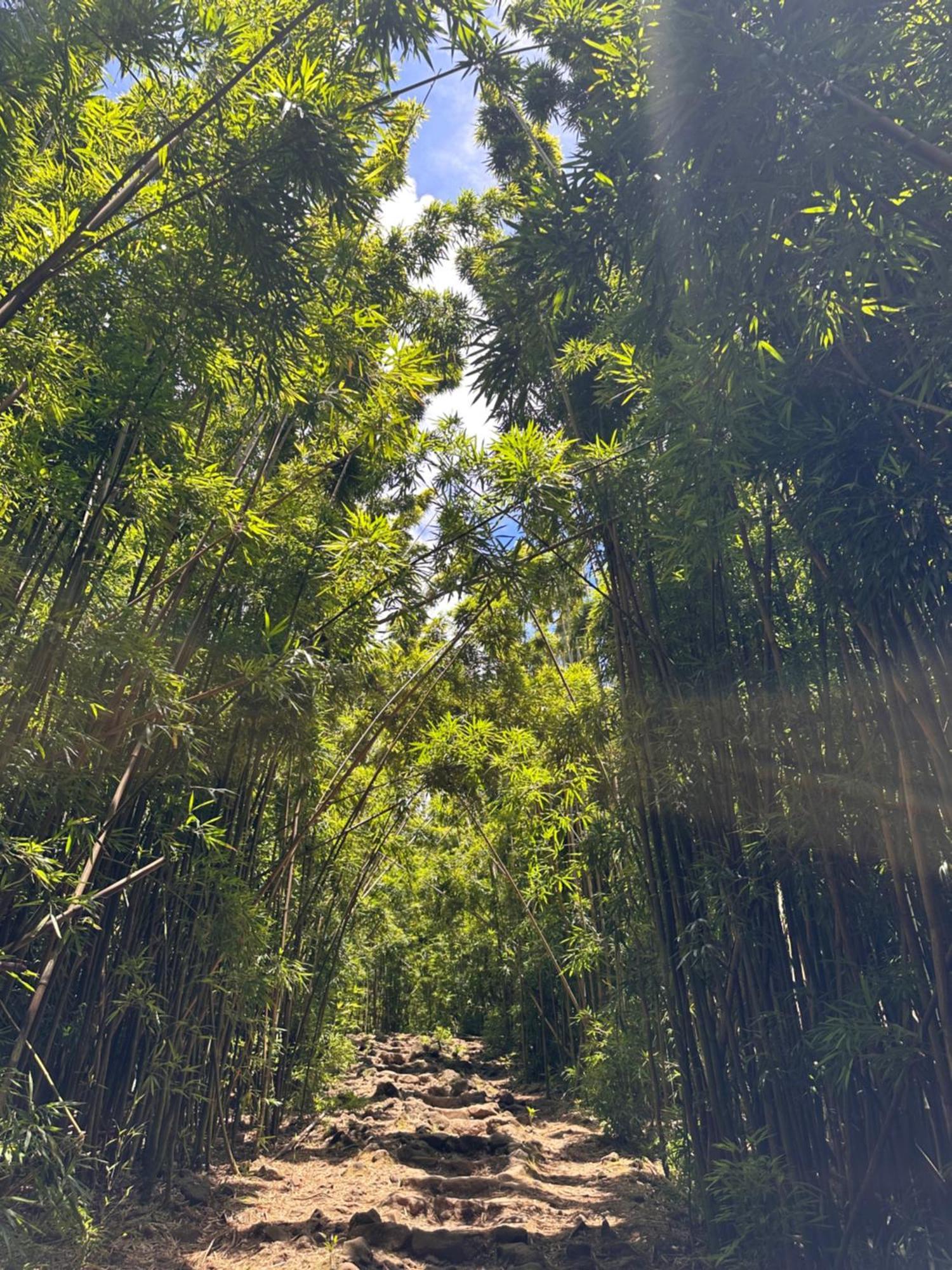 Embark On A Journey Through Maui With Aloha Glamp's Jeep And Rooftop Tent Allows To Discover Diverse Campgrounds, Unveiling The Island's Beauty From Unique Perspectives Each Day * Paia