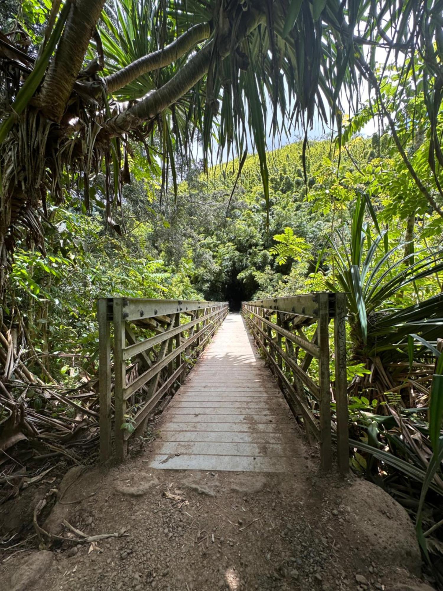 Embark On A Journey Through Maui With Aloha Glamp's Jeep And Rooftop Tent Allows To Discover Diverse Campgrounds, Unveiling The Island's Beauty From Unique Perspectives Each Day Paia