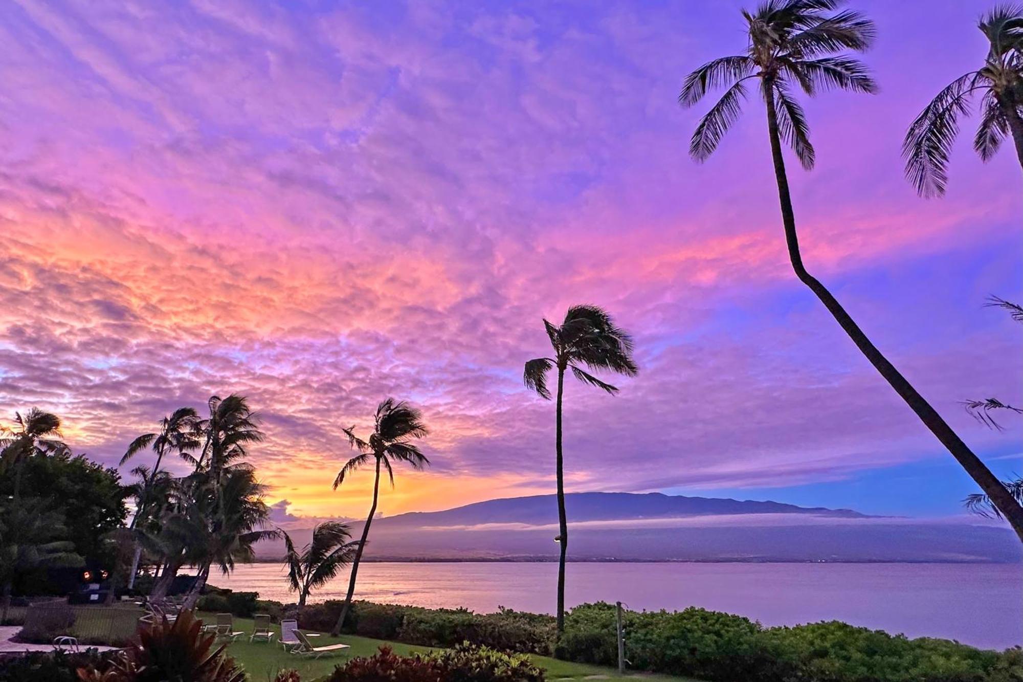 Banyans 113 Maalaea