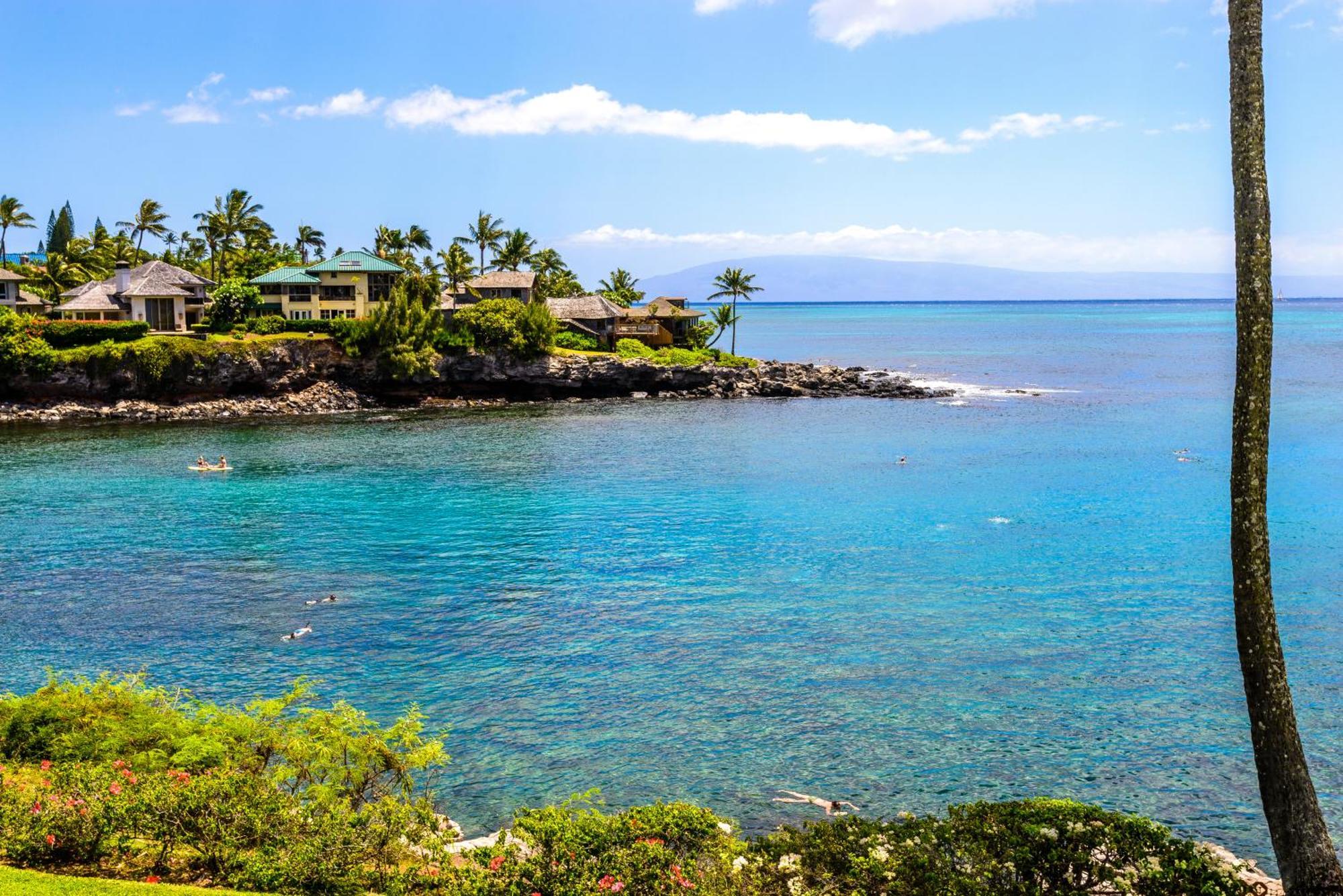 Napili Point C-12 * Lahaina