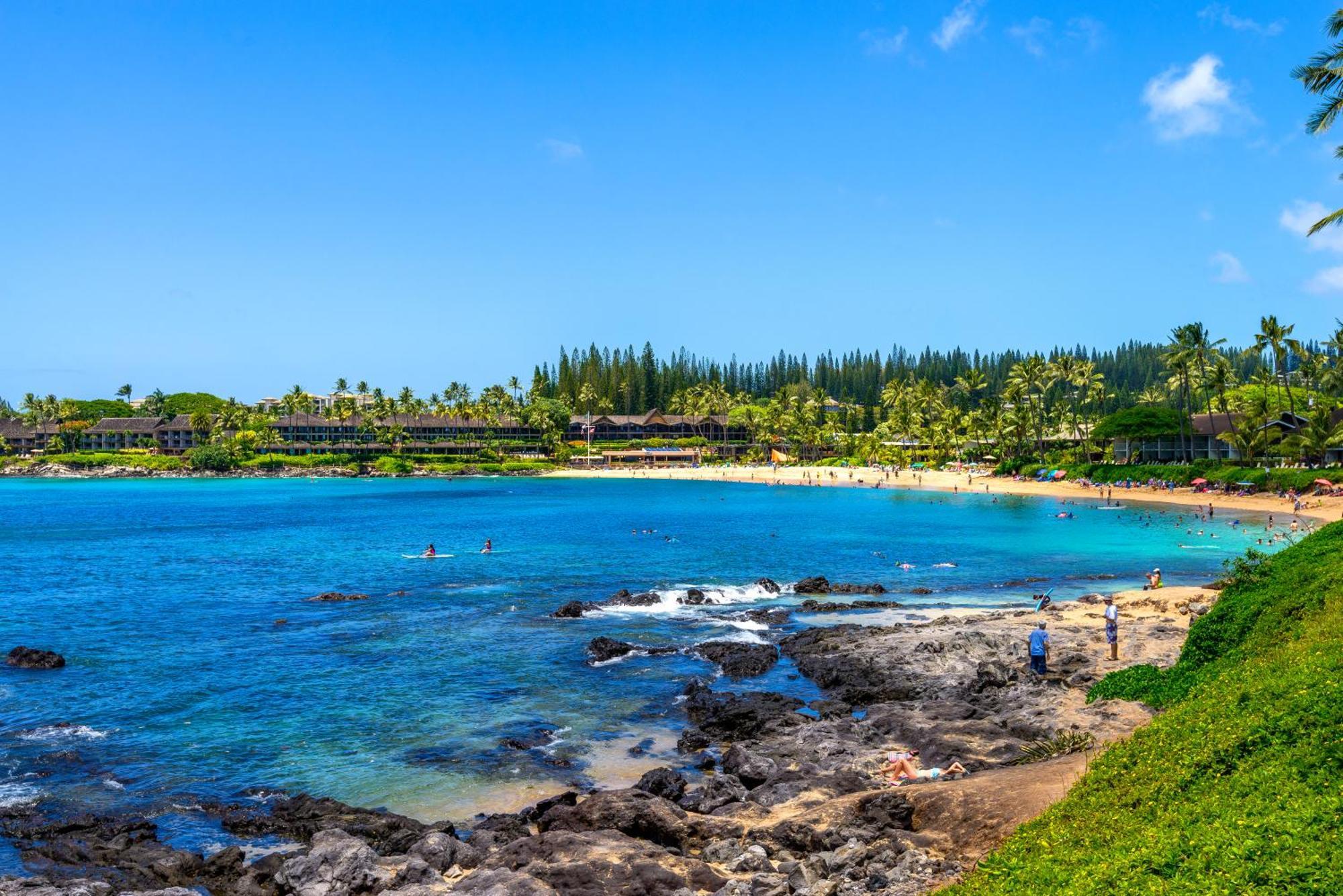Napili Point C-12 Apartment