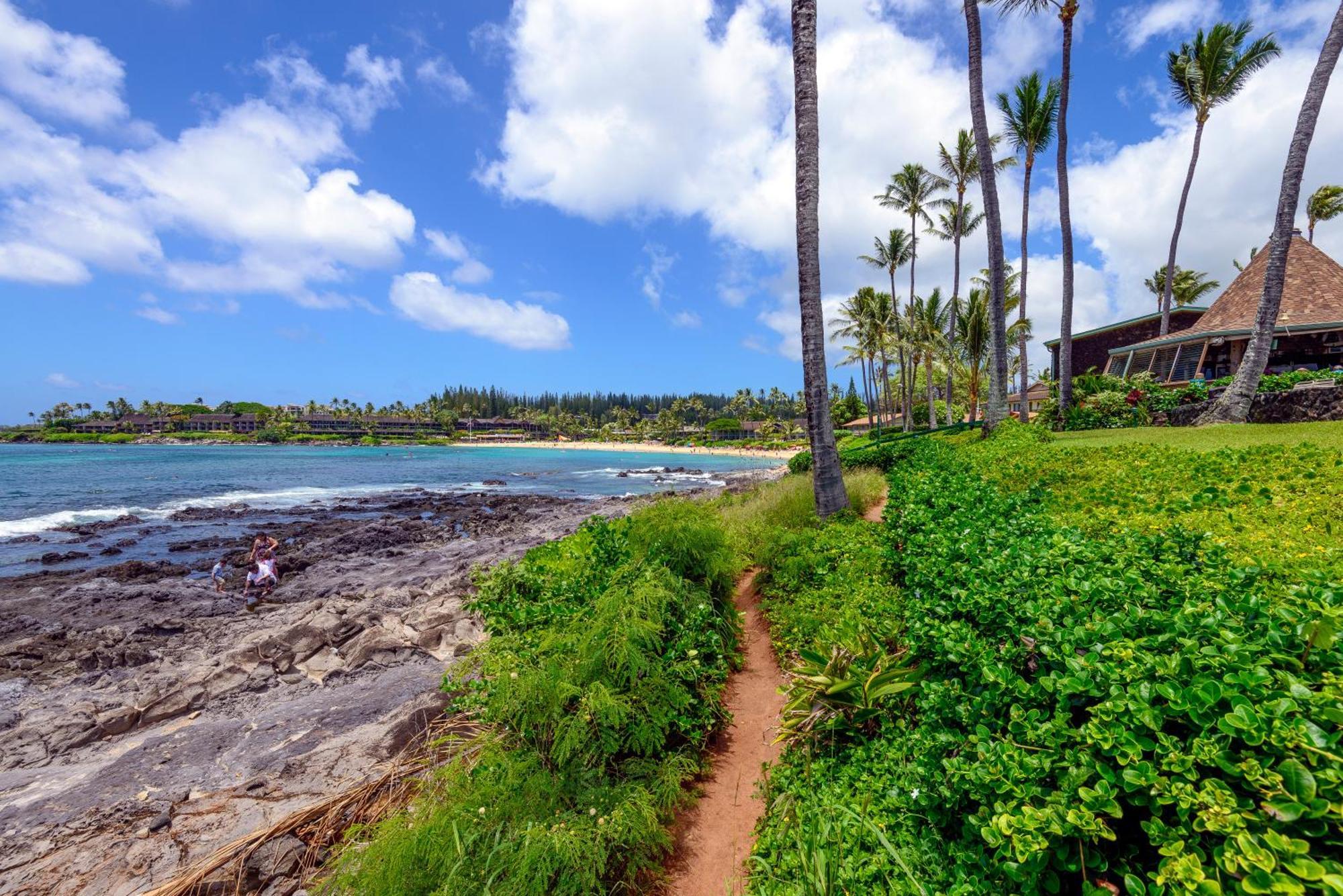 Napili Point C-12 * Lahaina