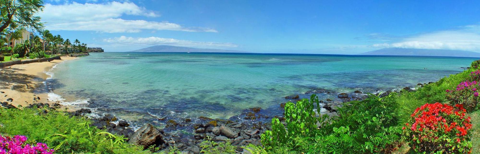 Kuleana #206 *