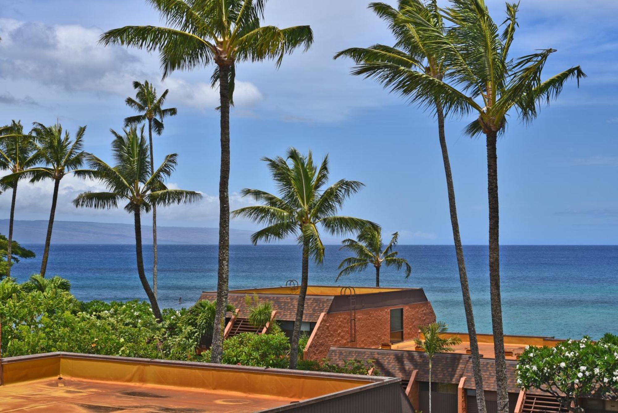 Kuleana #206 Kahana