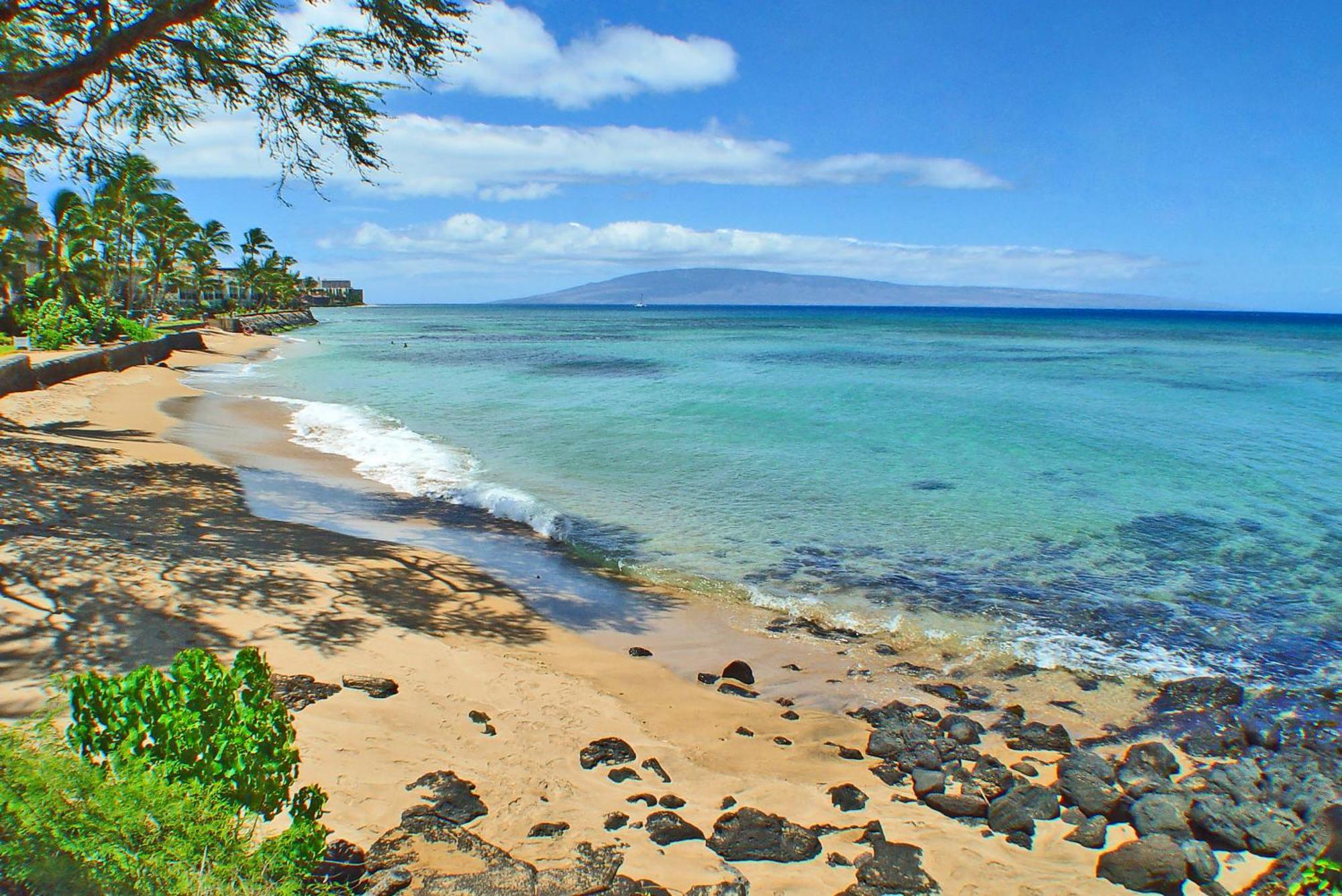 Kuleana #206 Kahana