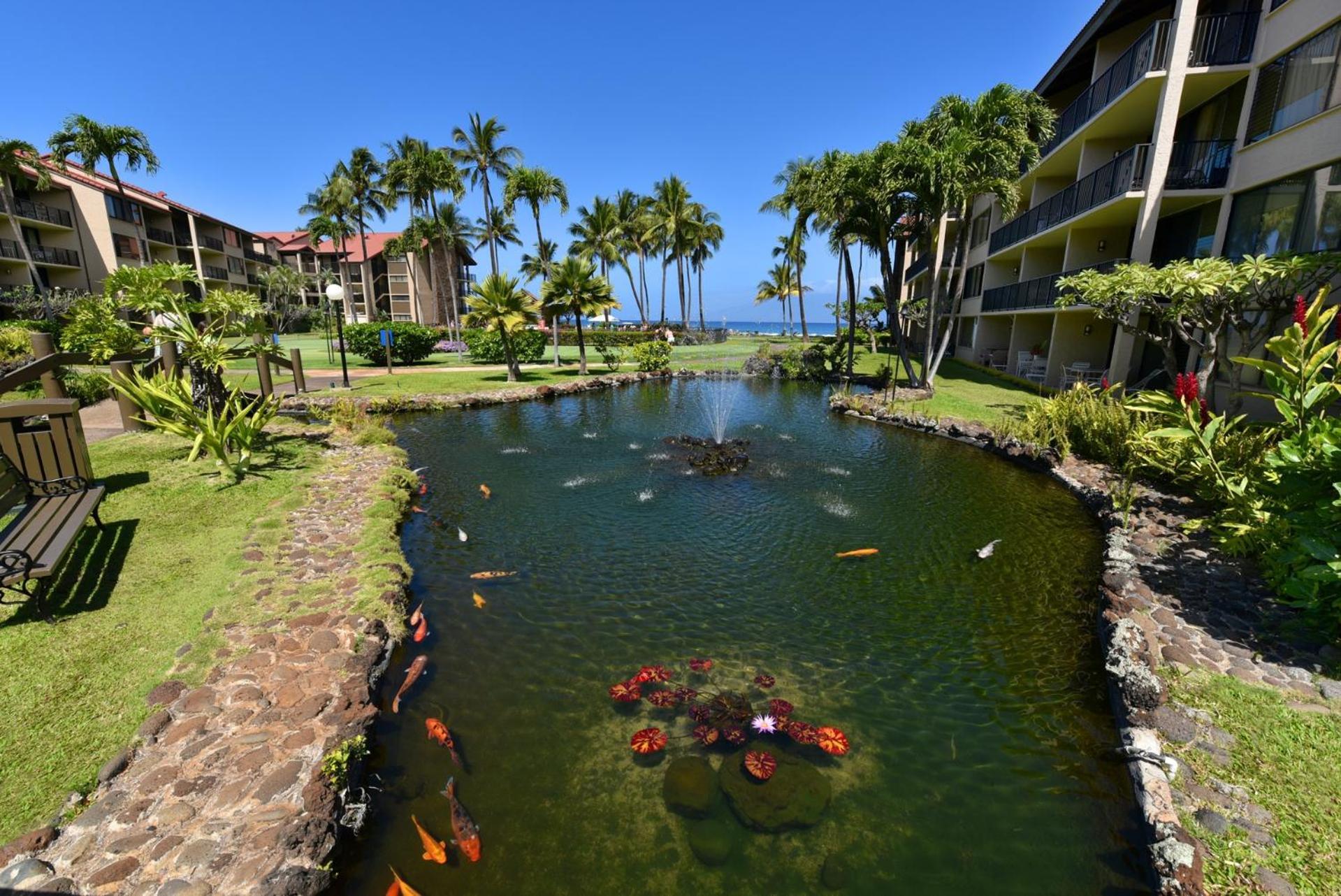 Papakea #g103 Kahana