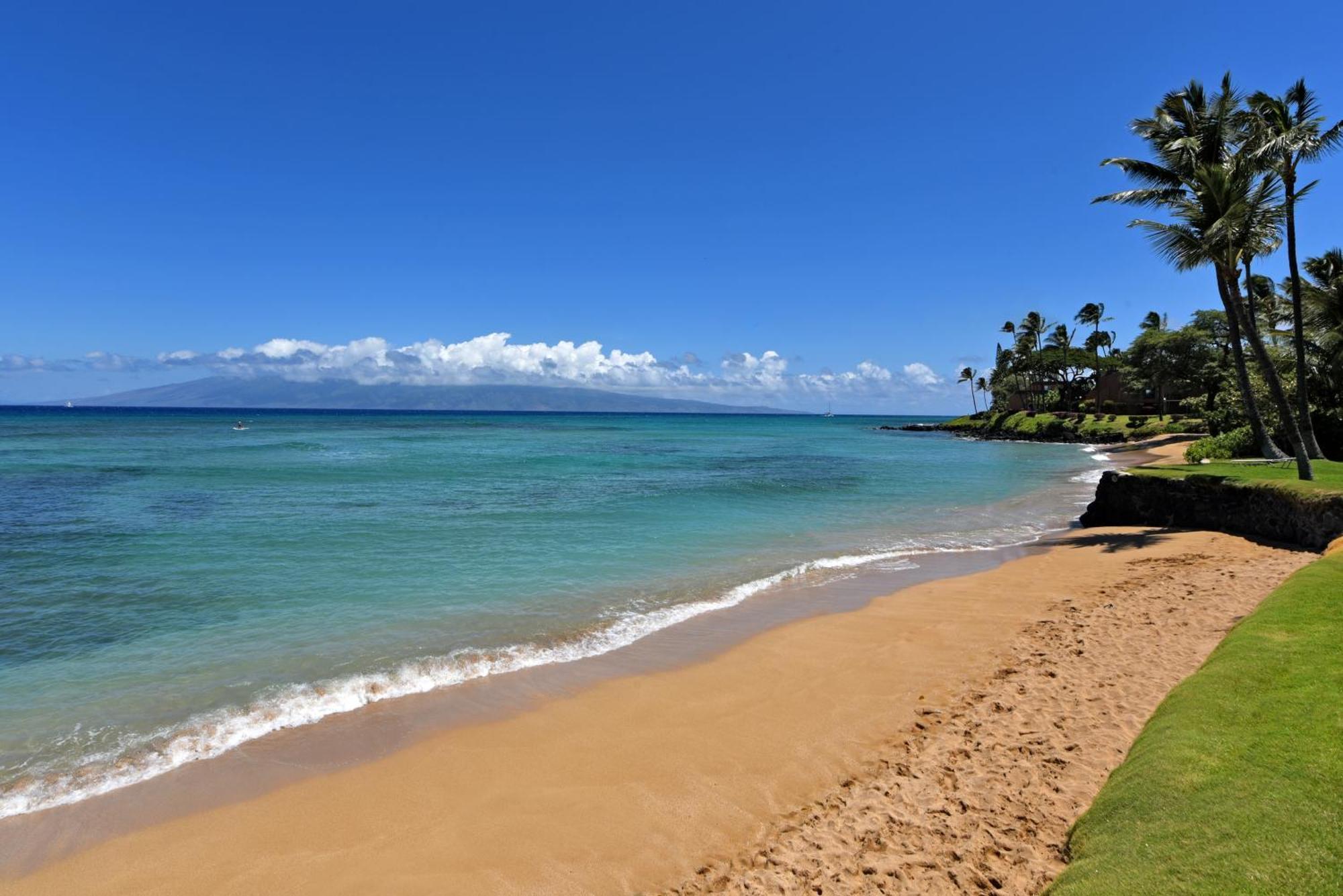 Hale Mahina #b102 *