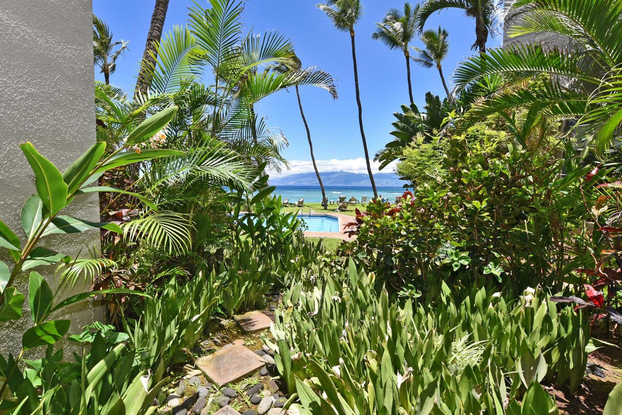 Hale Mahina #b102 *