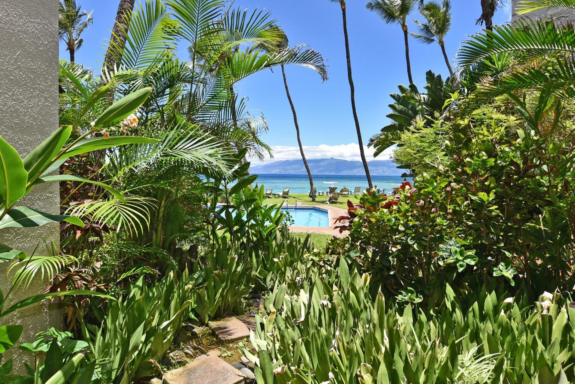 Hale Mahina #b102 *
