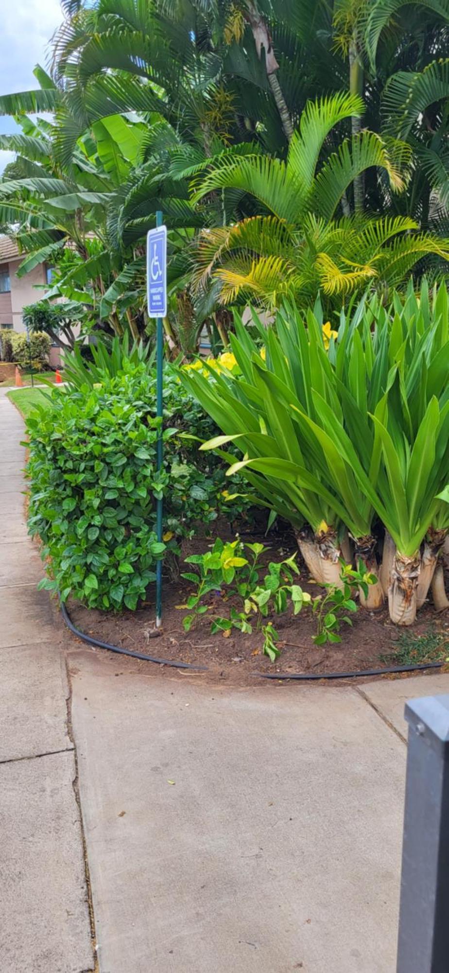 Apartment Kai Nani Kihei