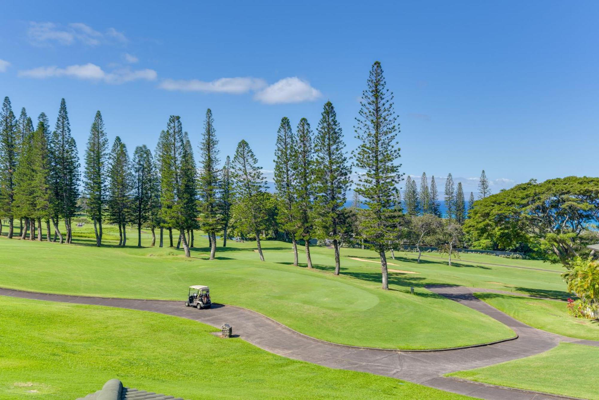 Apartment Kapalua Extraordinaire With Glorious Ocean Views! *