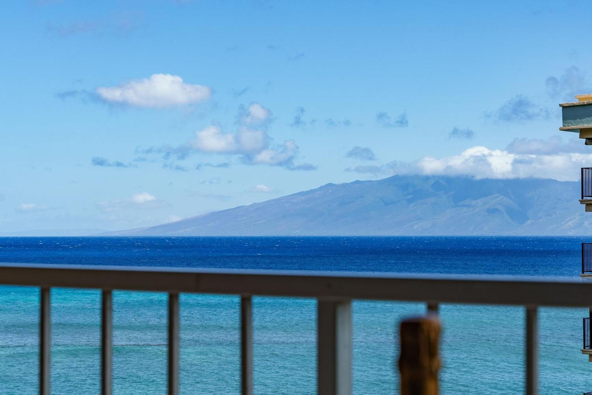 Royal 702 * Kahana