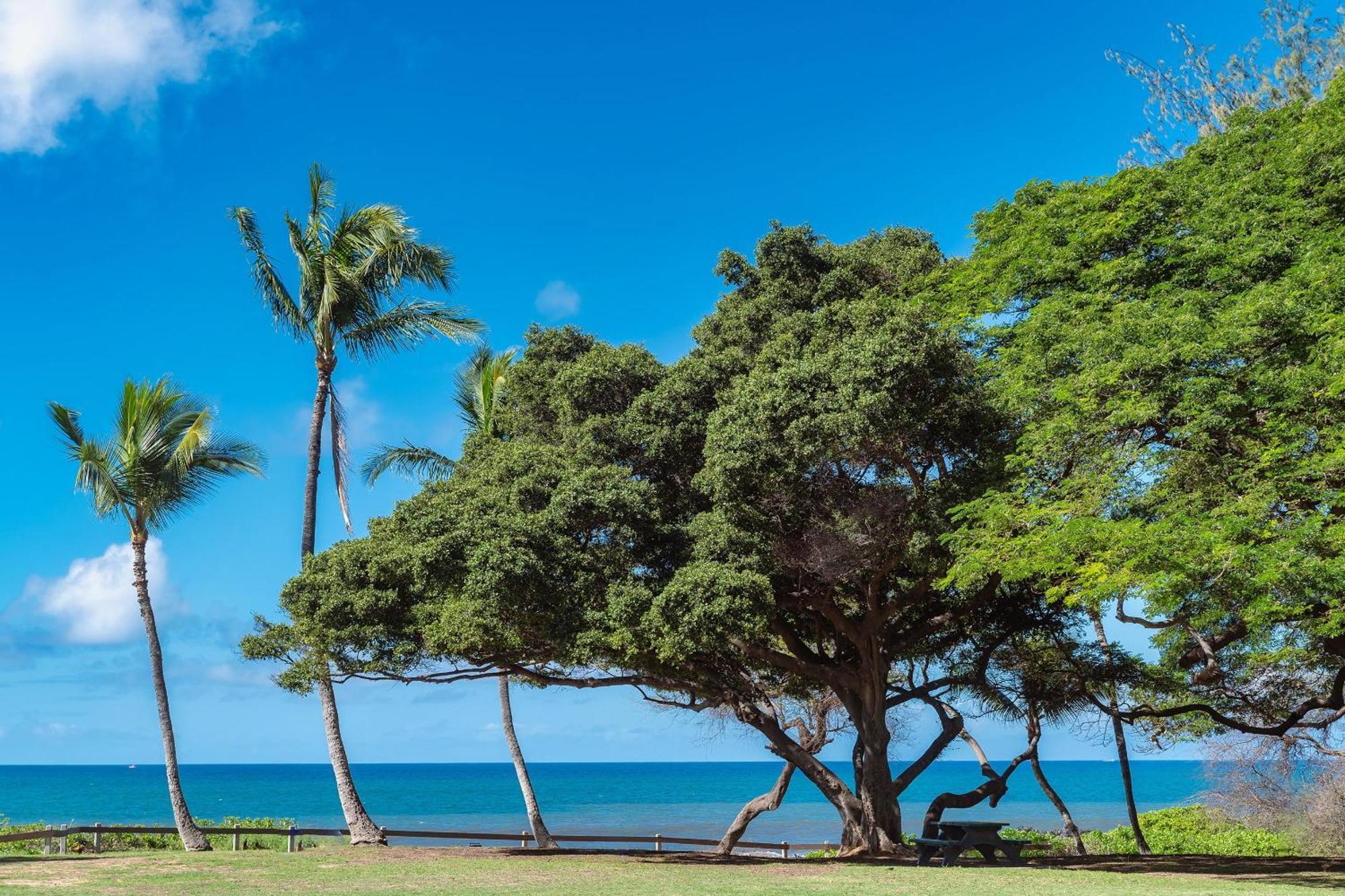 Haleakala Shores A-301, Panoramic Views, Split Ac Holiday home Wailea (Maui)