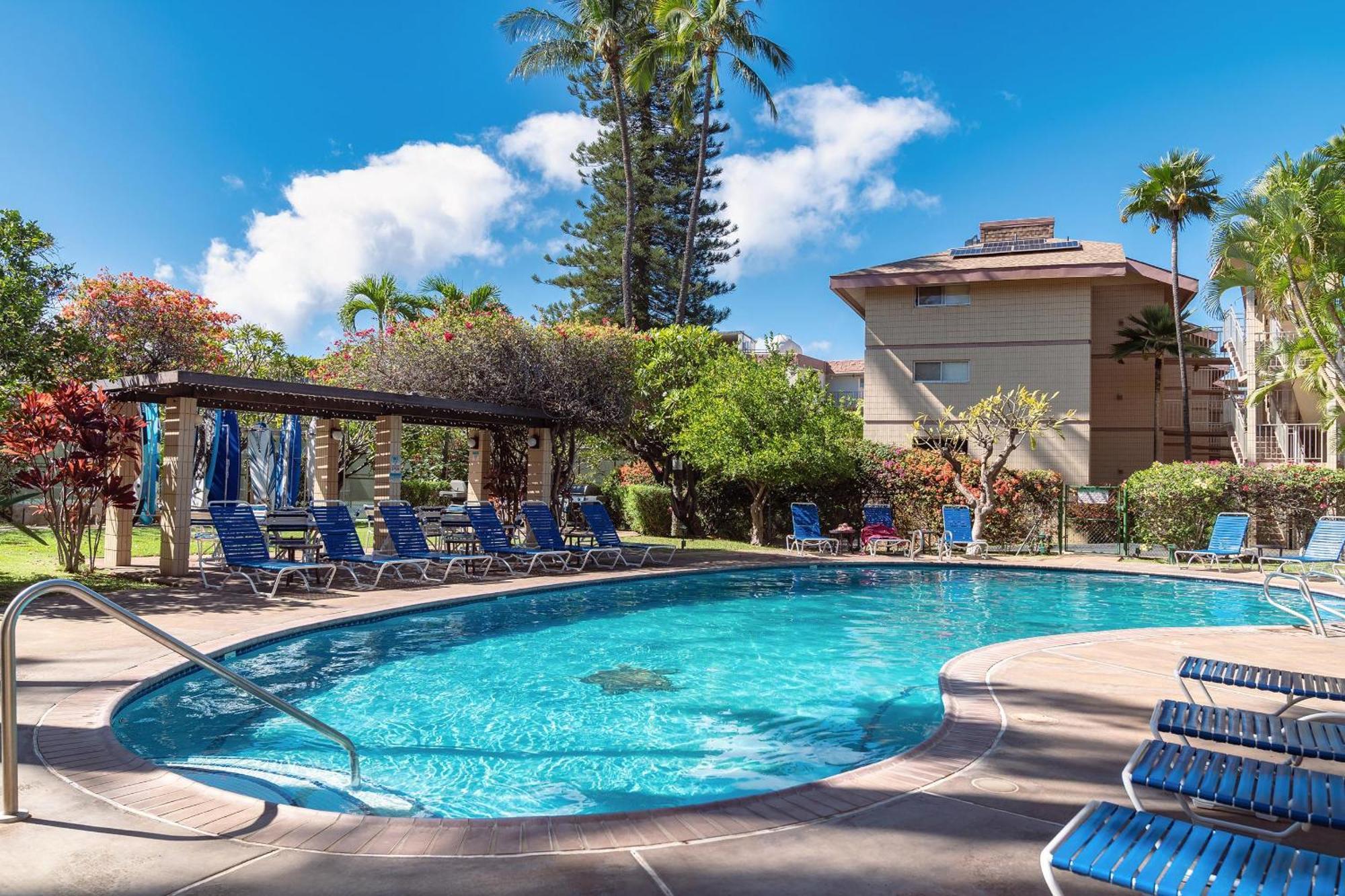 Haleakala Shores A-301, Panoramic Views, Split Ac