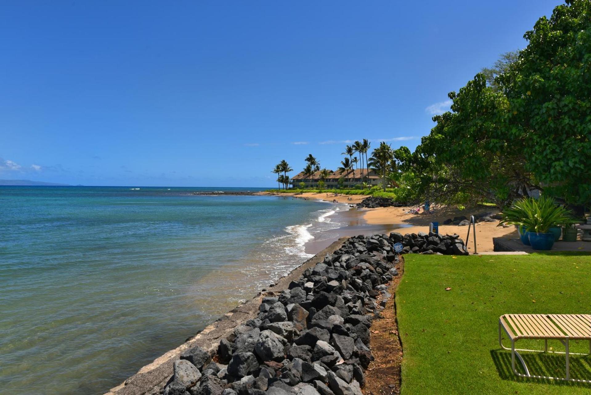 Reef #216 * Kahana