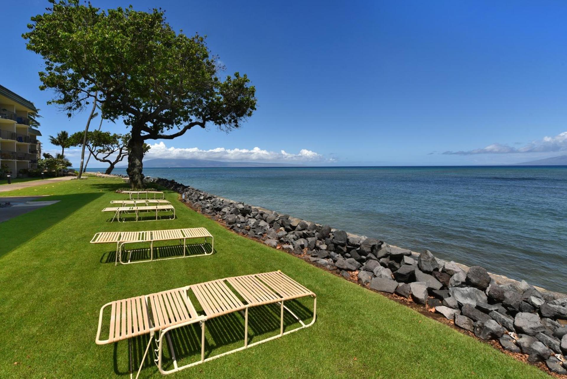 Reef #216 Kahana