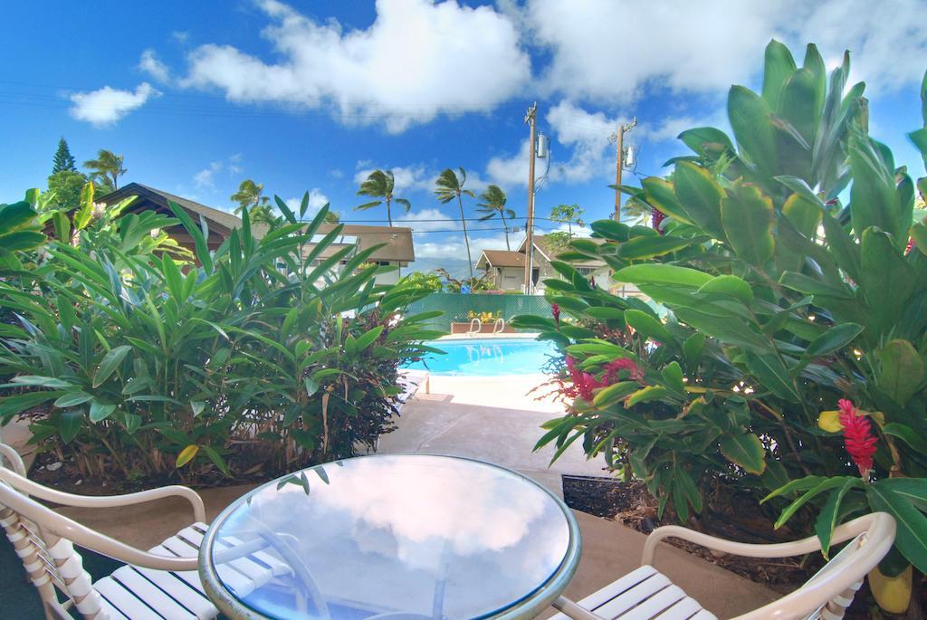 Napili Sunset Front Aparthotel 2*