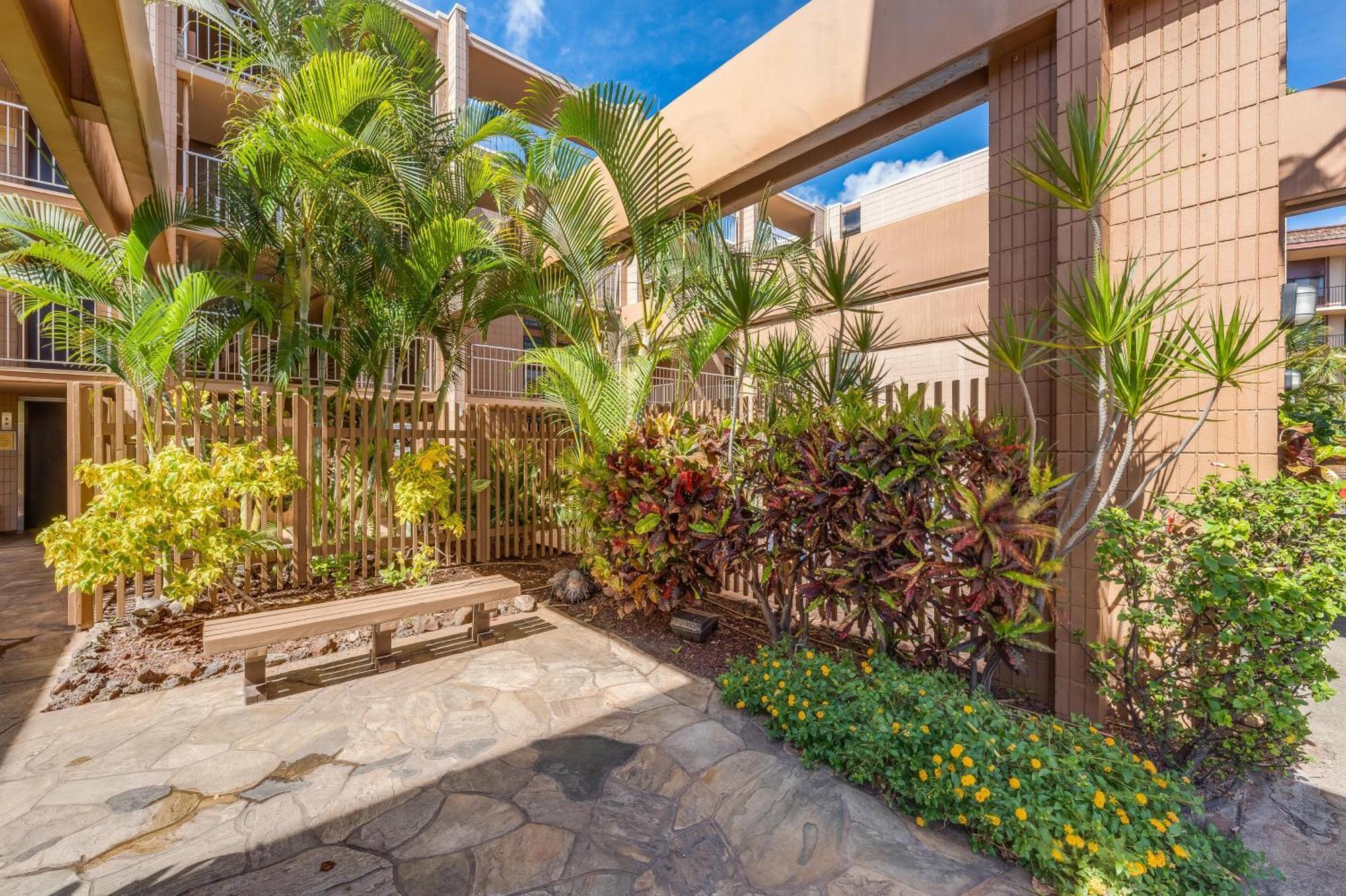 Kaleialoha 309