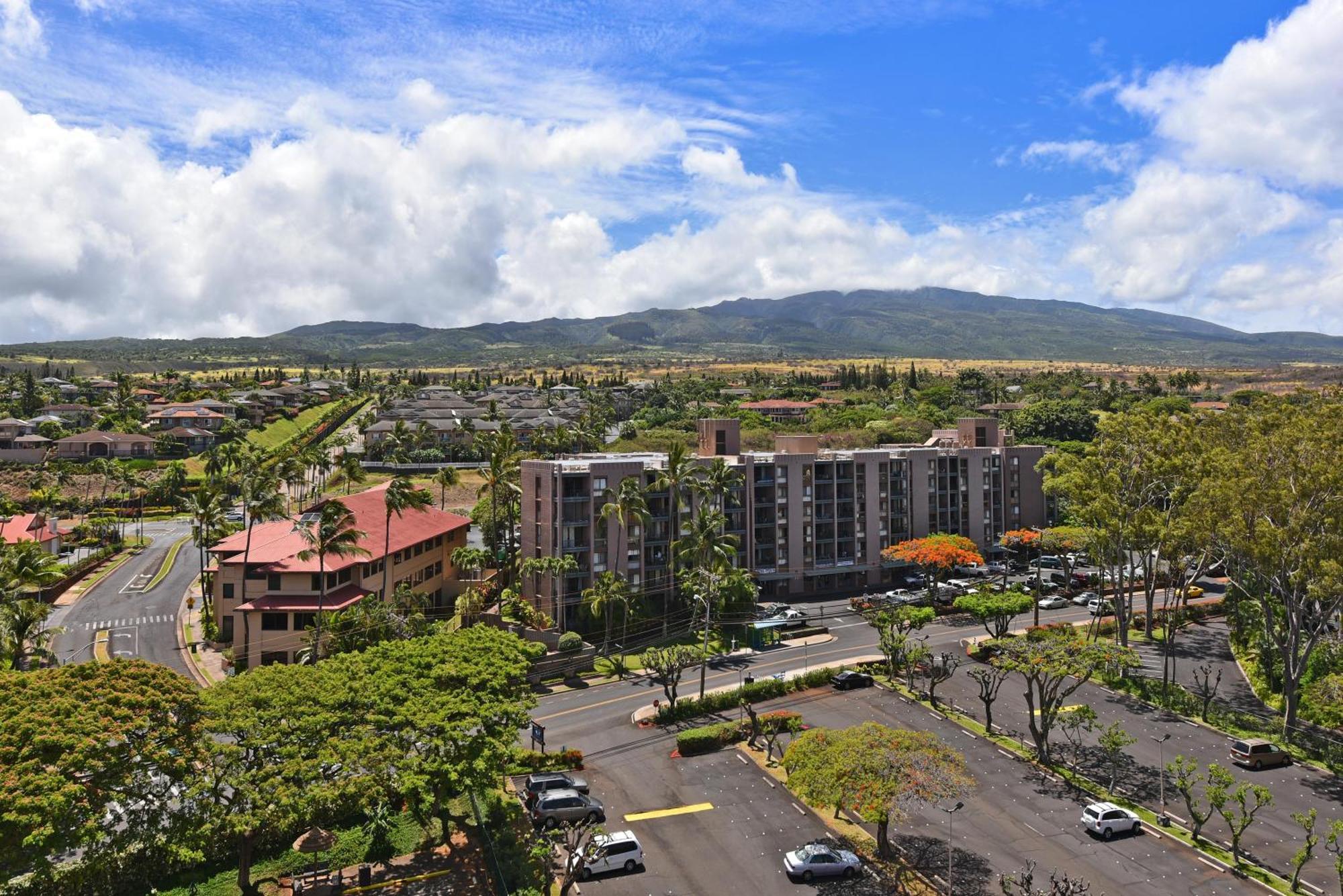Royal 104 * Kahana