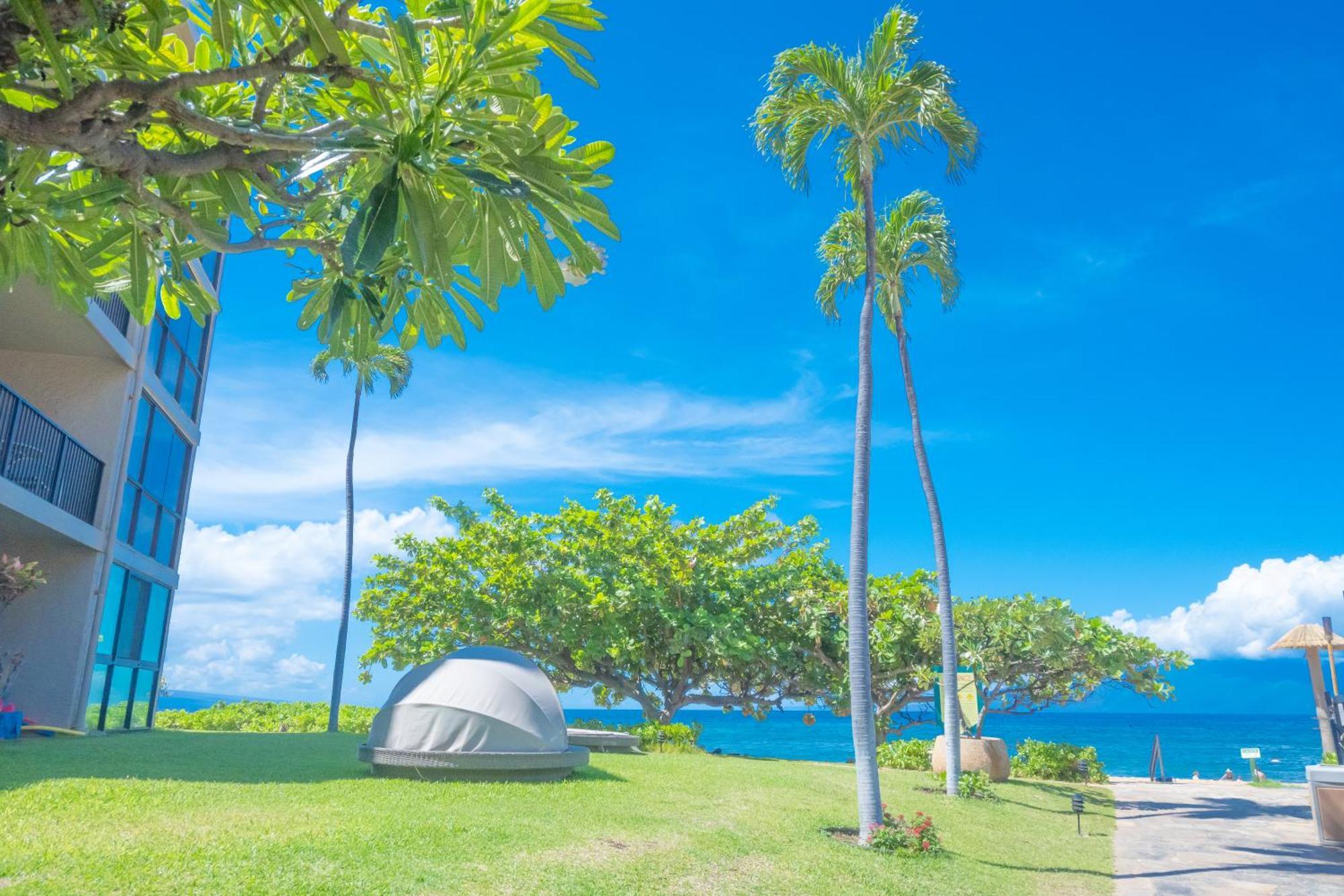 Maui Westside Presents: Kaanapali Shores 733 Stunning Ocean Views New Listing *