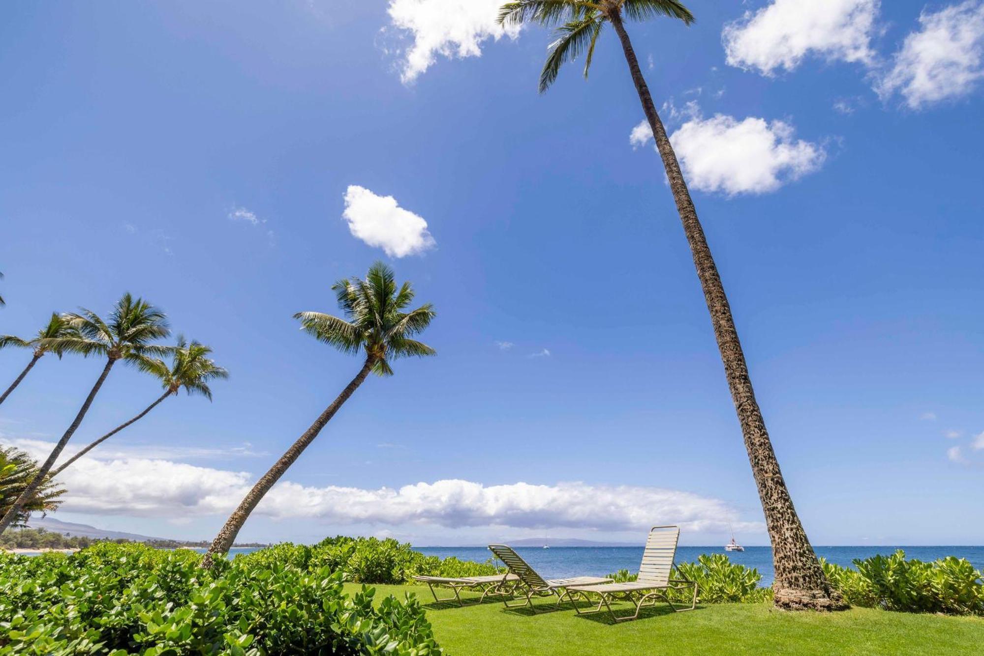 202 * Kihei