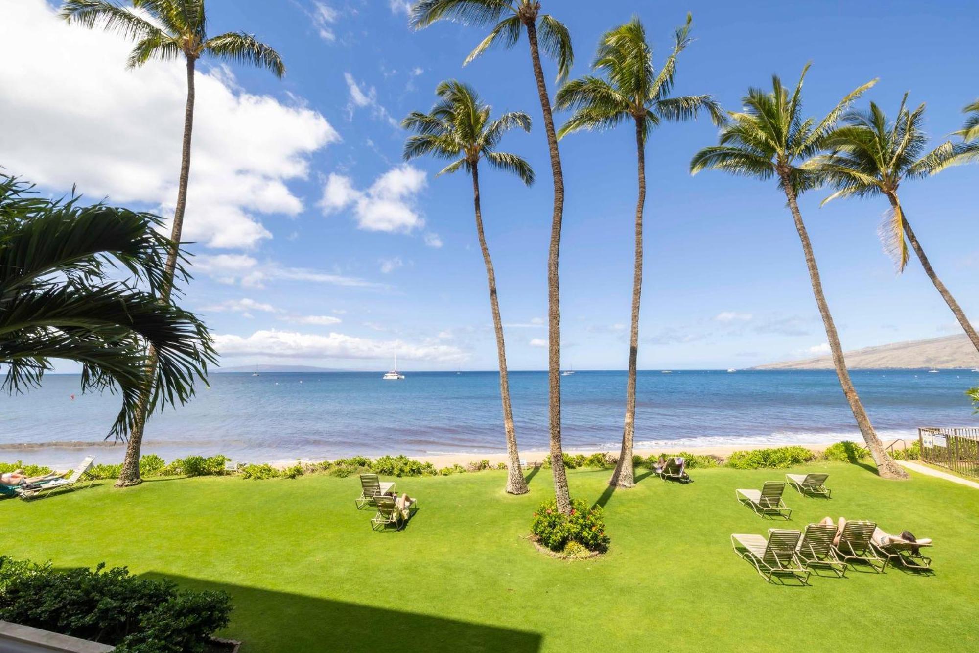 202 Kihei