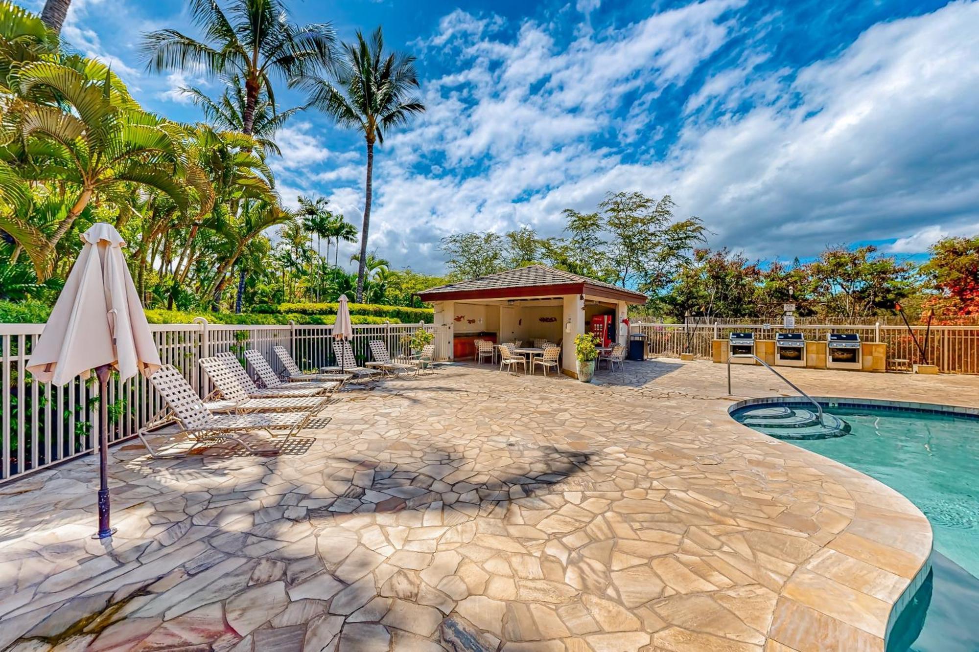 Maui Banyan *