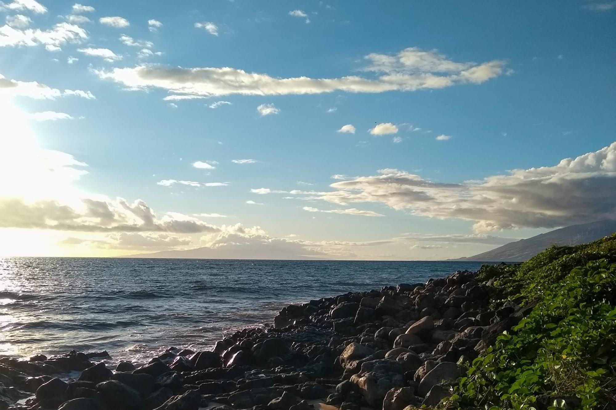 Holiday home Maui Banyan