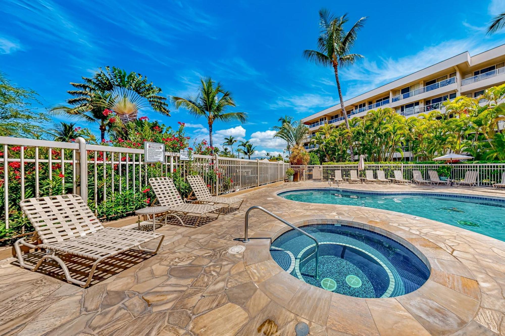 Maui Banyan