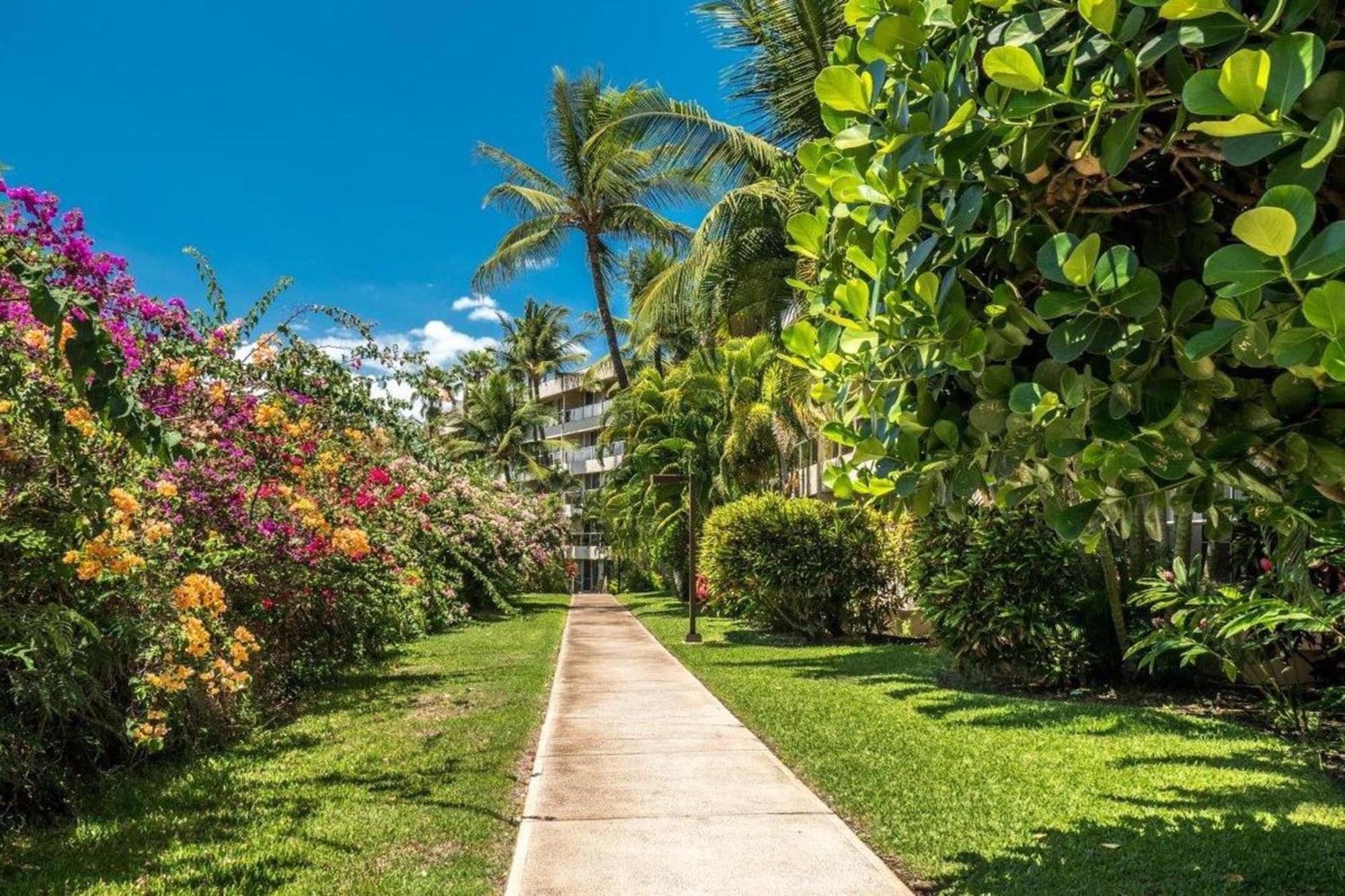 Maui Banyan Holiday home