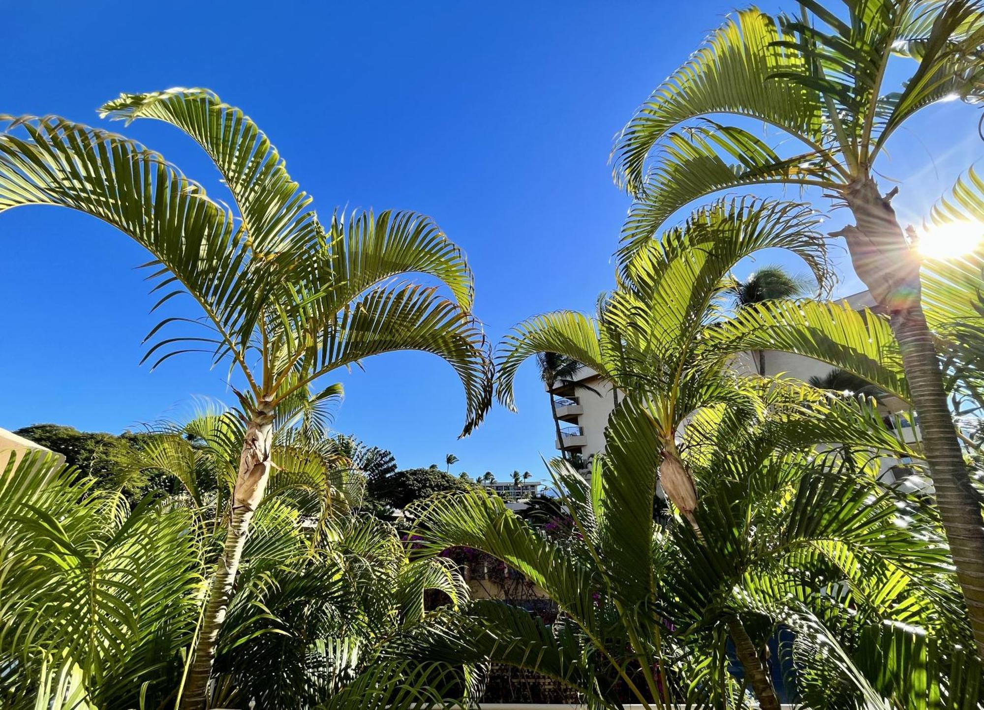 Maui Banyan Holiday home Wailea (Maui)
