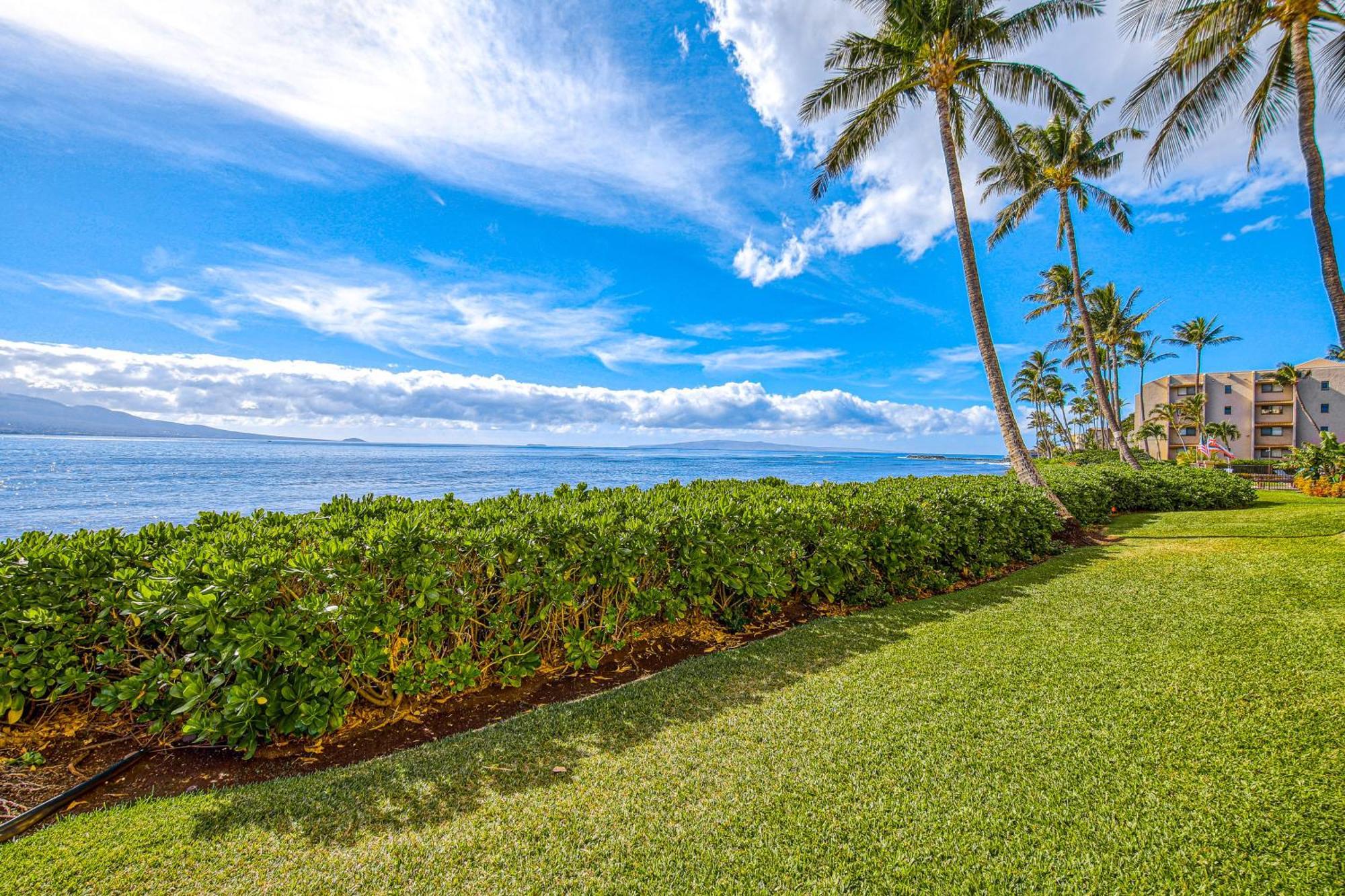 Island Sands * Wailuku