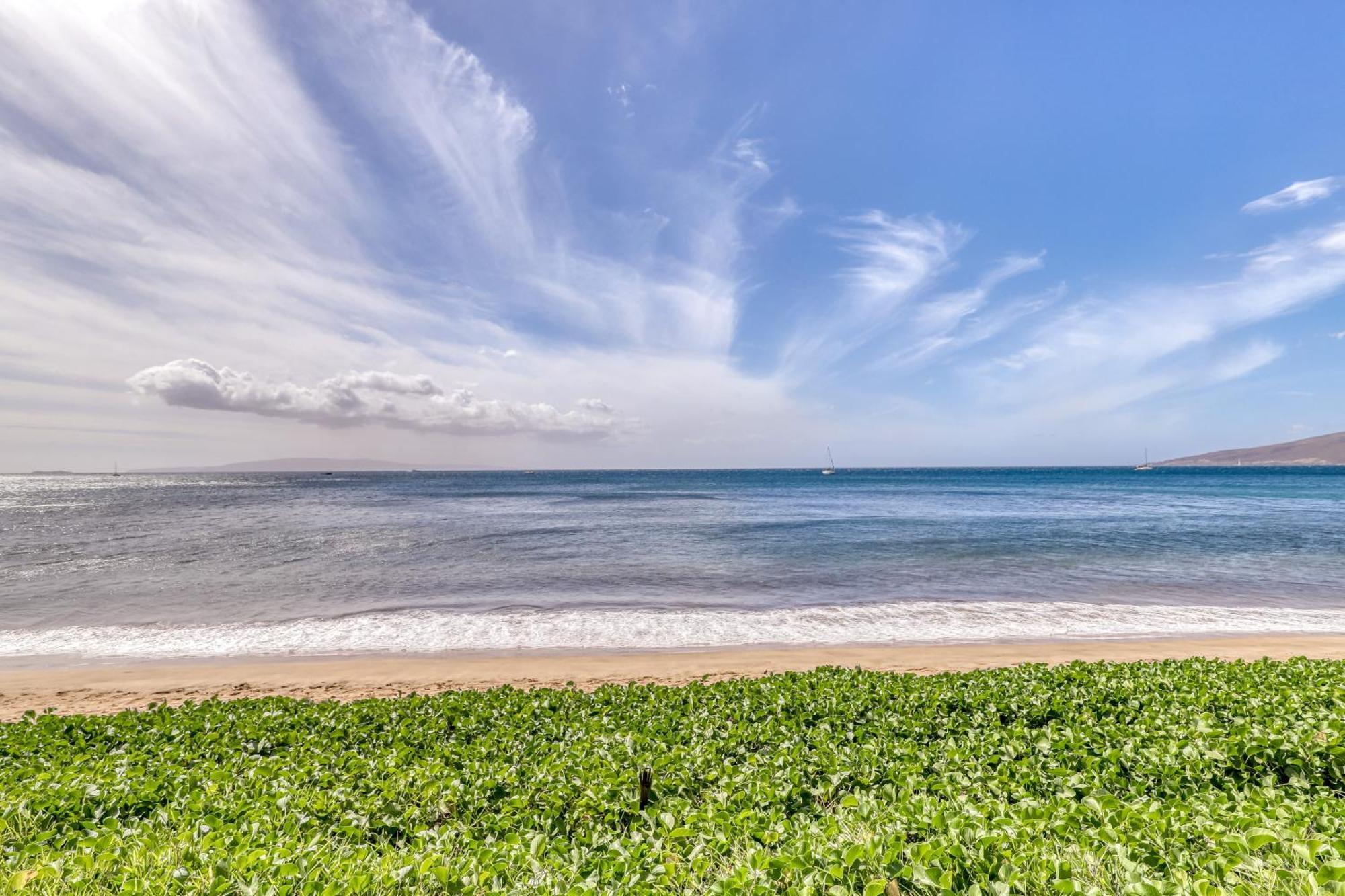Sugar Apartment Kihei