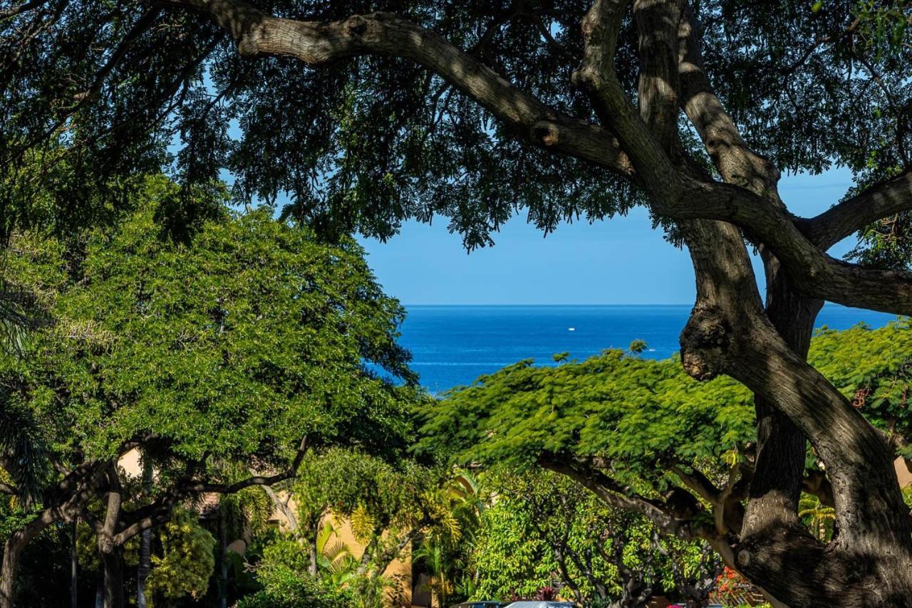 Palms At Wailea Two Bedrooms - Partial Ocean View By Coldwell Banker Island Vacations Wailea (Maui)