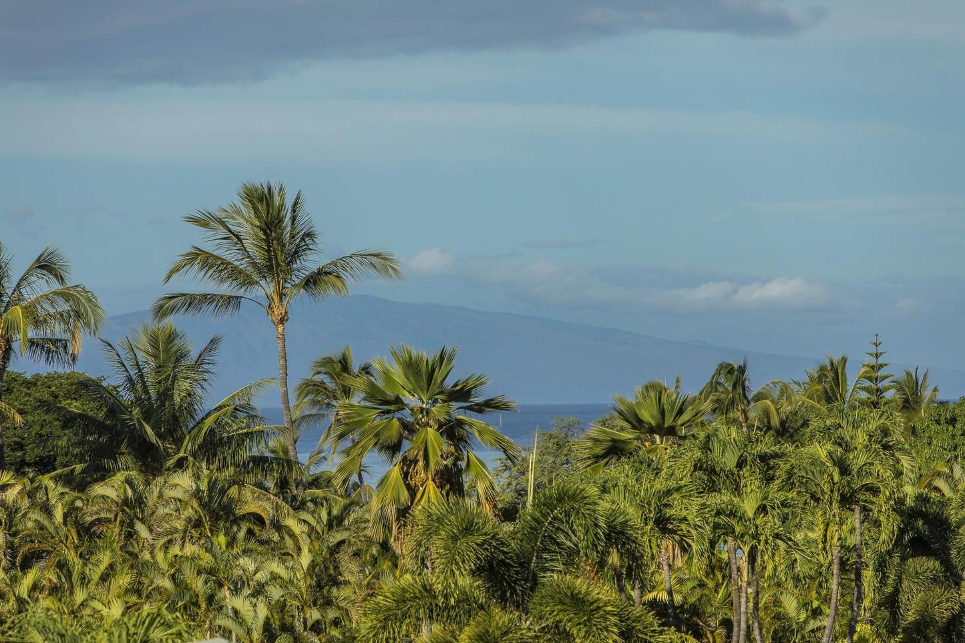 Apartment Palms At Wailea Two Bedrooms - Partial Ocean View By Coldwell Banker Island Vacations Wailea (Maui)
