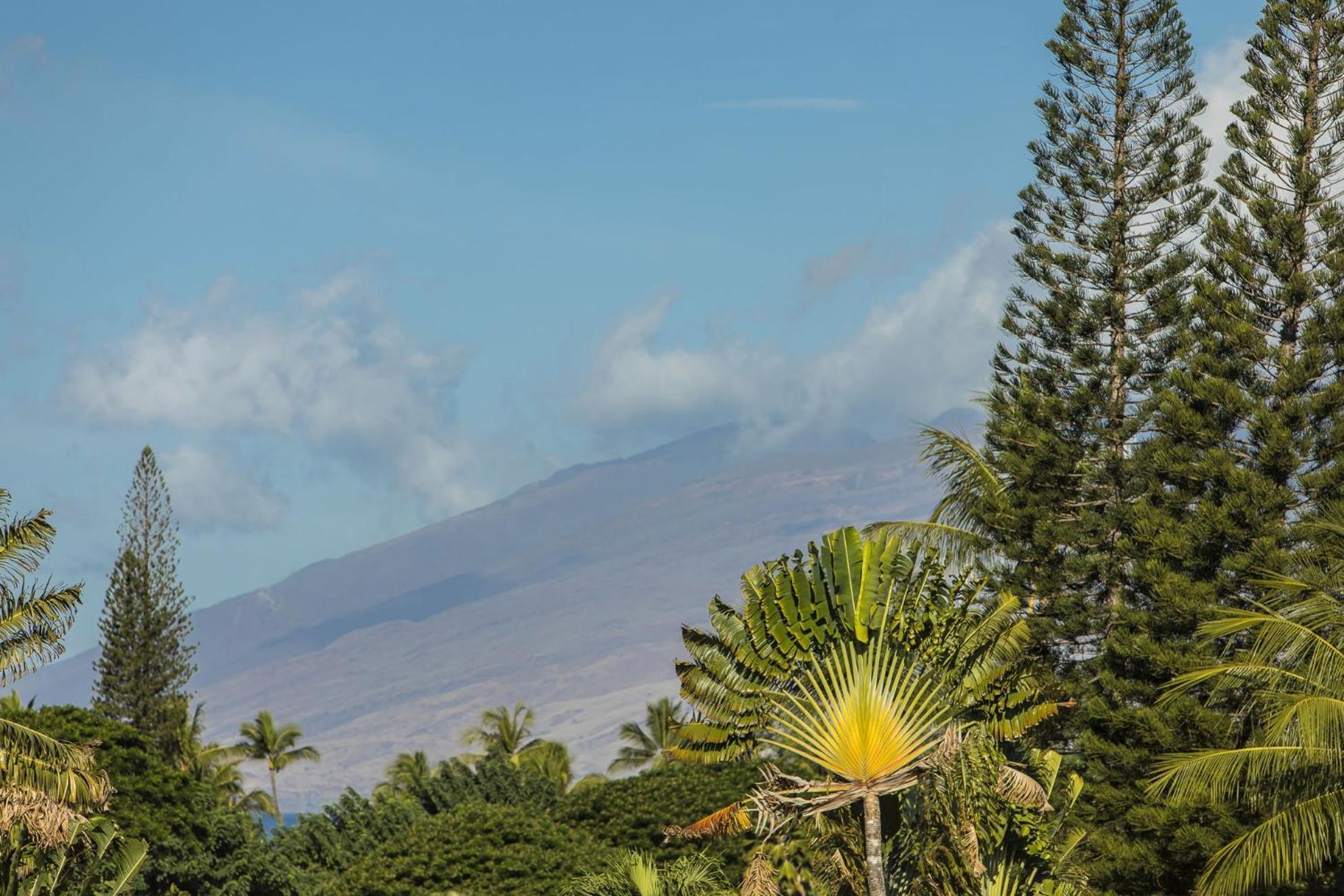Apartment Palms At Wailea Two Bedrooms - Partial Ocean View By Coldwell Banker Island Vacations Wailea (Maui)