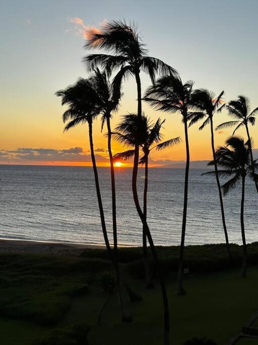 Apartment Beautiful Oceanfront, Ac In Each Room, Sleeps 6 Kihei
