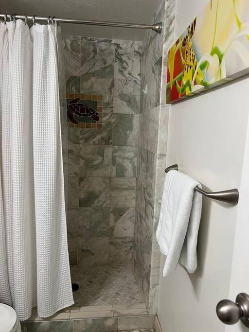 Beautiful Oceanfront, Ac In Each Room, Sleeps 6 Apartment *