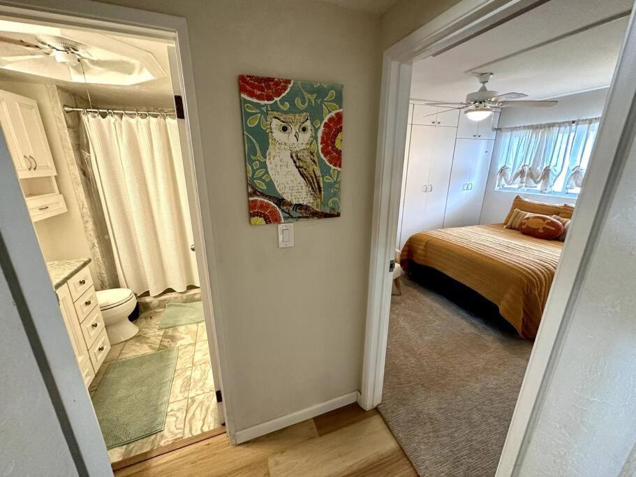 Beautiful Oceanfront, Ac In Each Room, Sleeps 6 Apartment