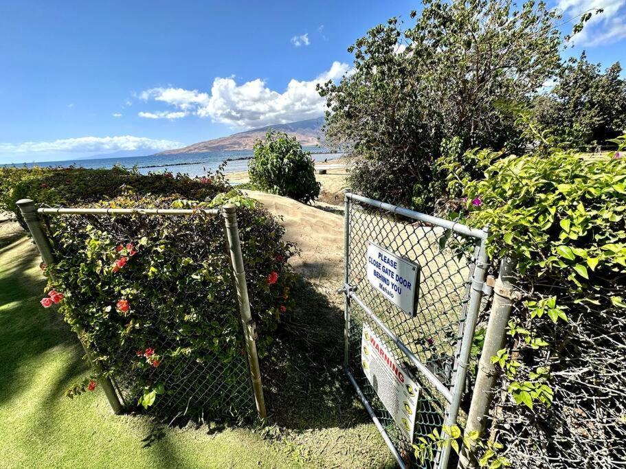Beautiful Oceanfront, Ac In Each Room, Sleeps 6 Apartment Kihei