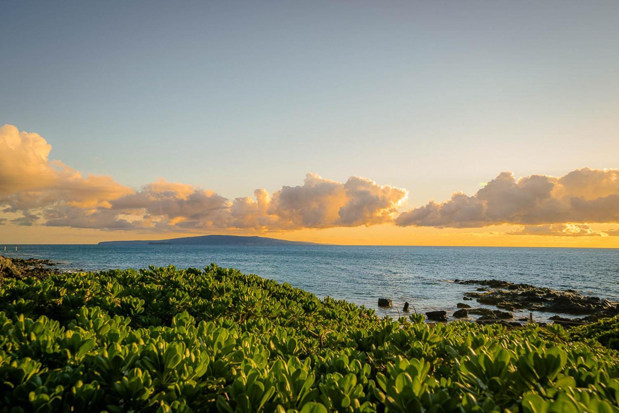 Maui Kamaole C-208 Wailea (Maui)