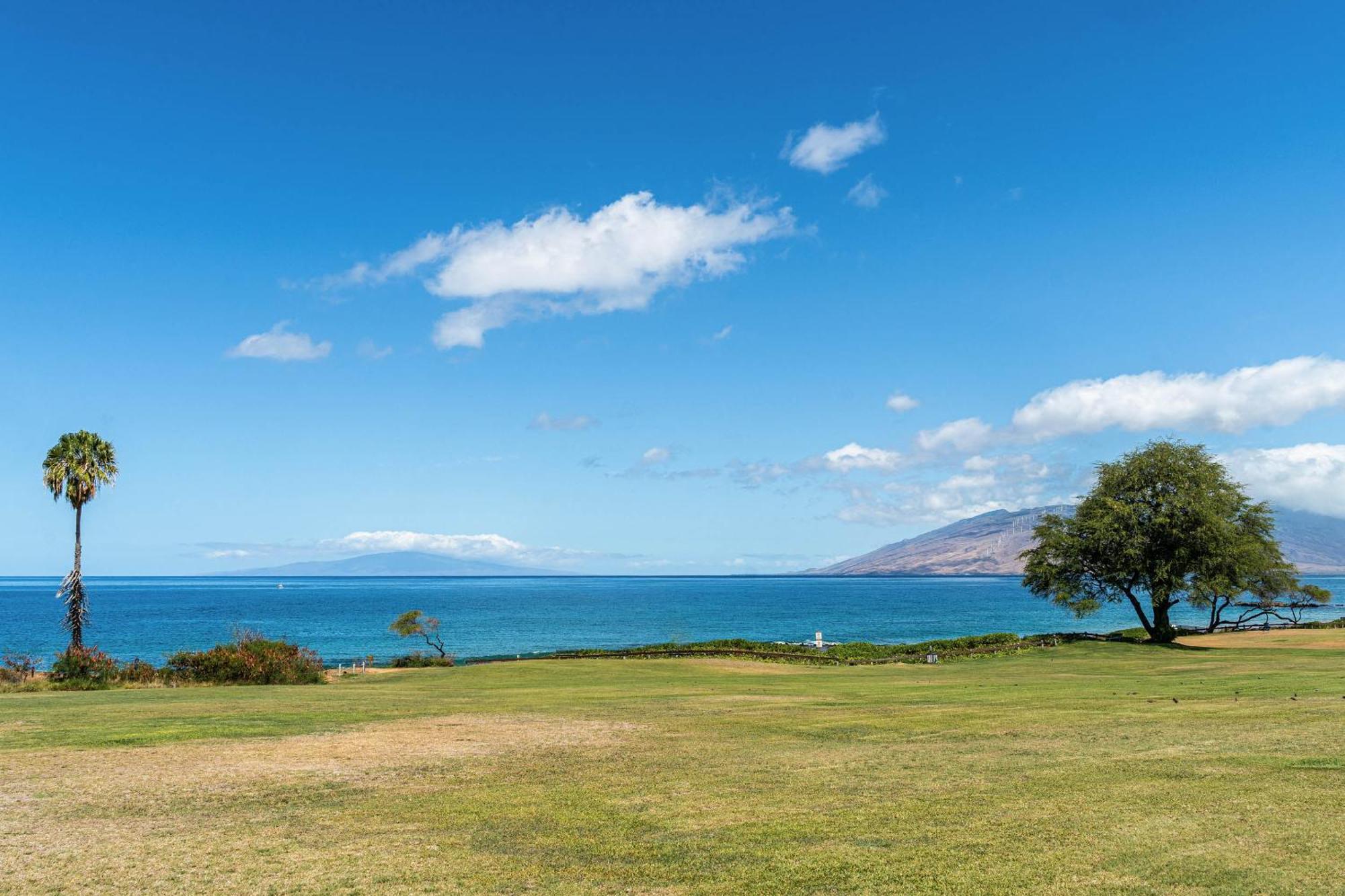 Maui Banyan T-305b Apartment