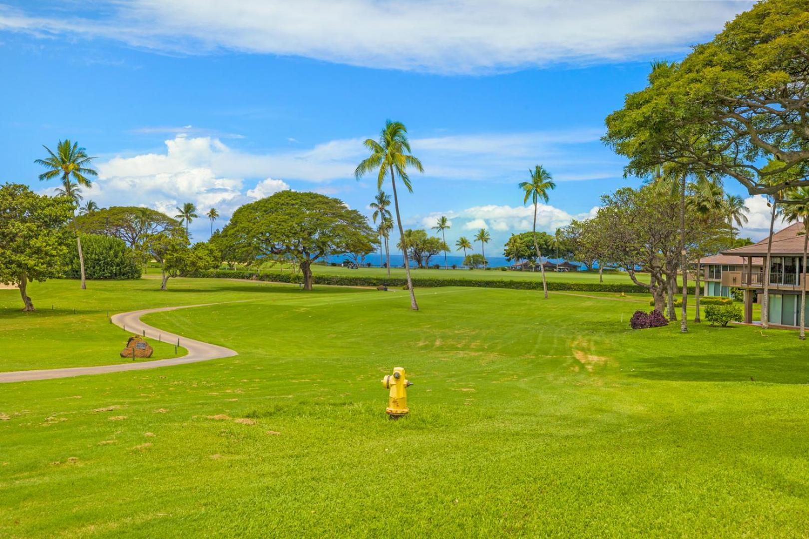 Maui Eldorado - G108 - In The Heart Of Kaanapali Kahana