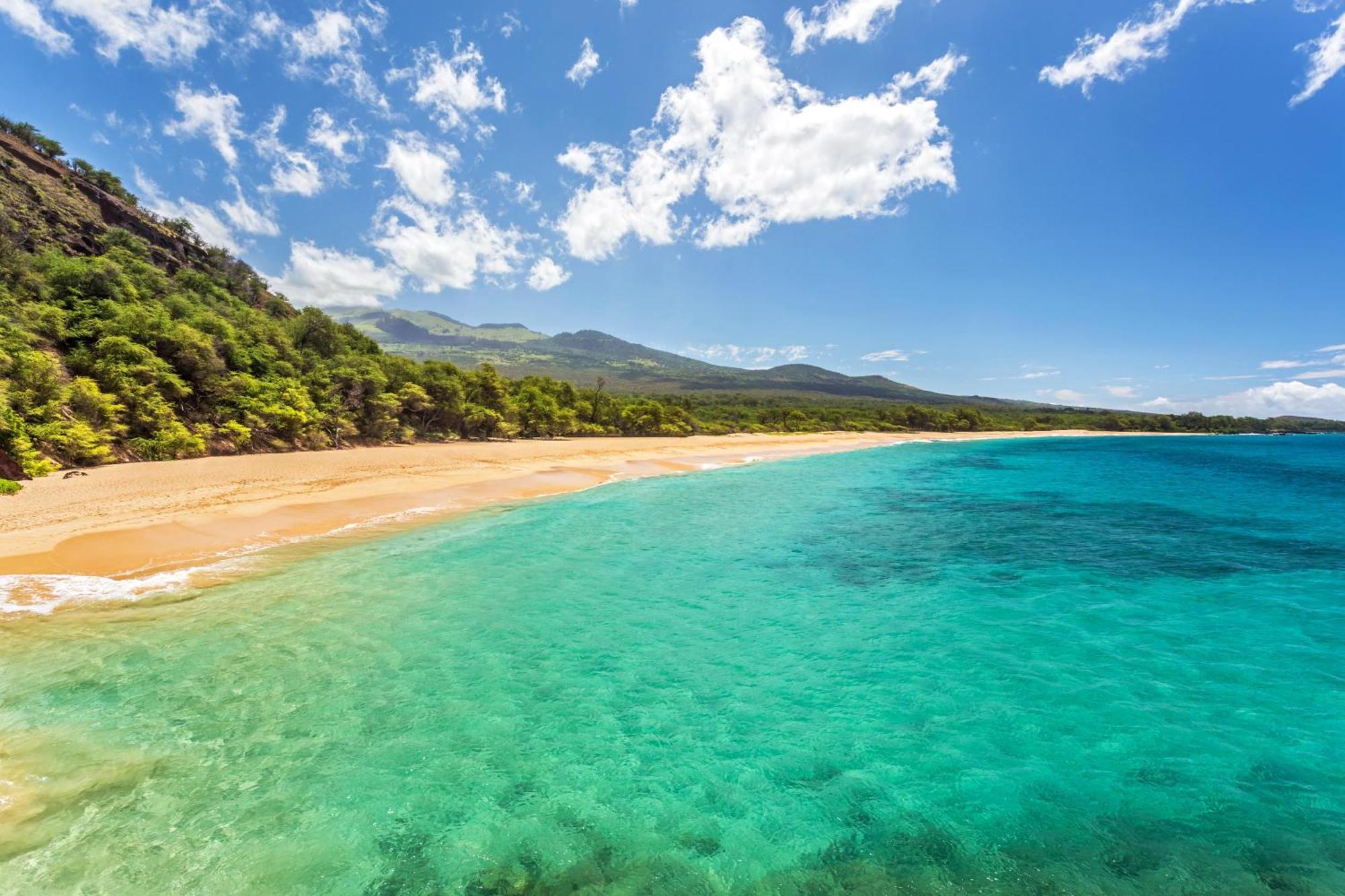 Kamaole Sands 1-305 Holiday home Wailea (Maui)