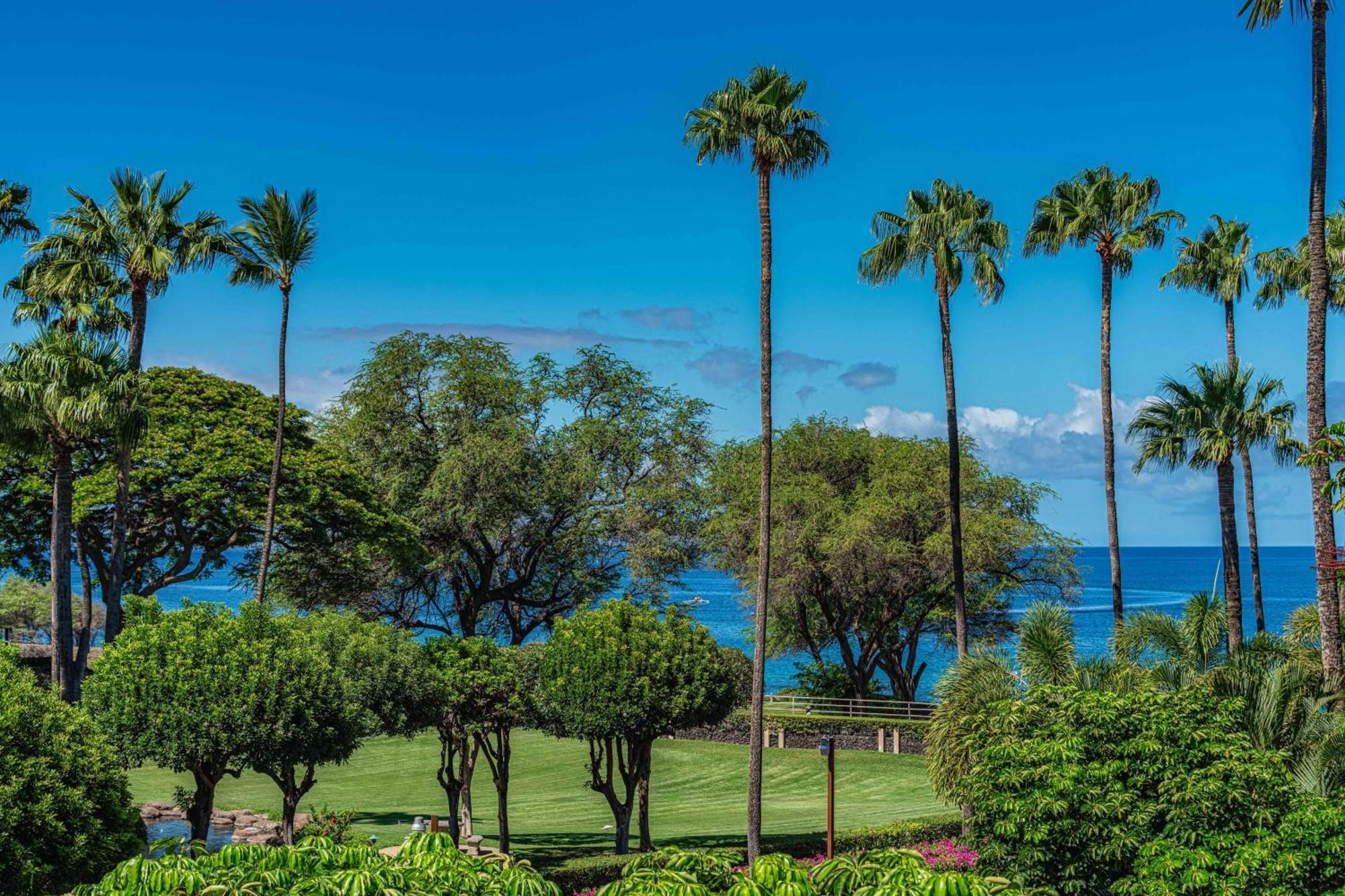 Kamaole Sands 1-305 * Wailea (Maui)
